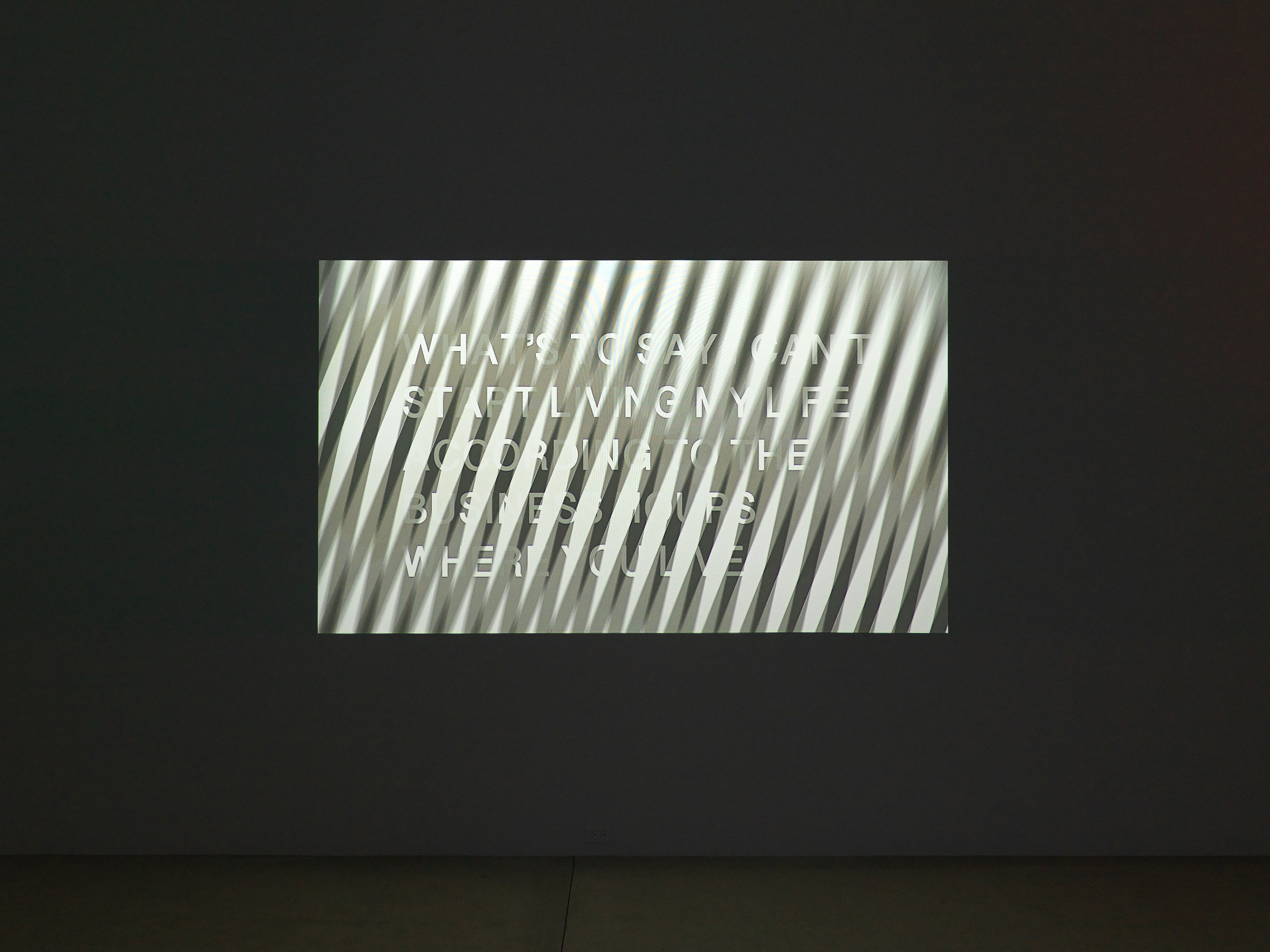 Jibade-Khalil Huffman, The Double at Magenta Plains, photo 3