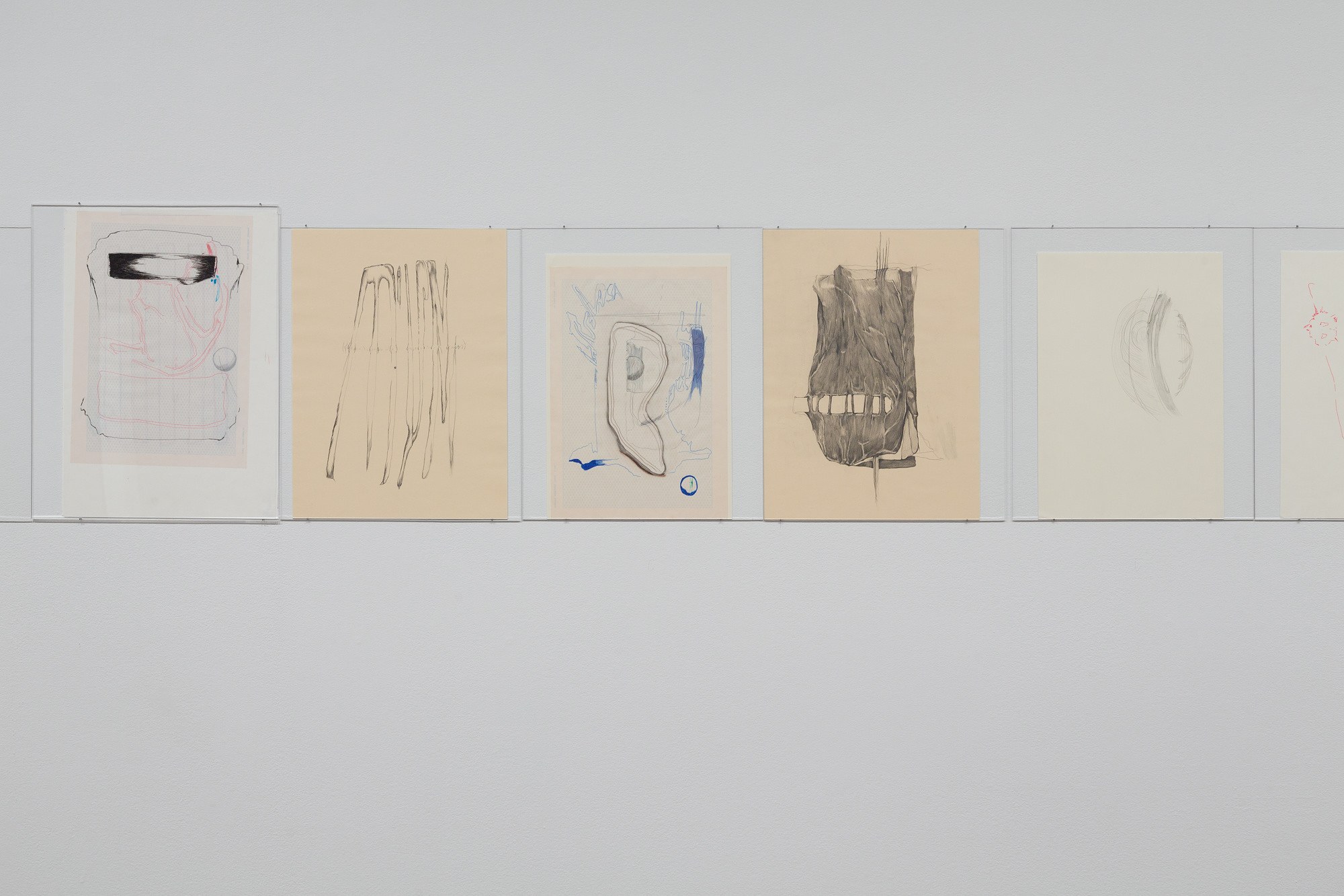 Trisha Donnelly, image 8 of 18