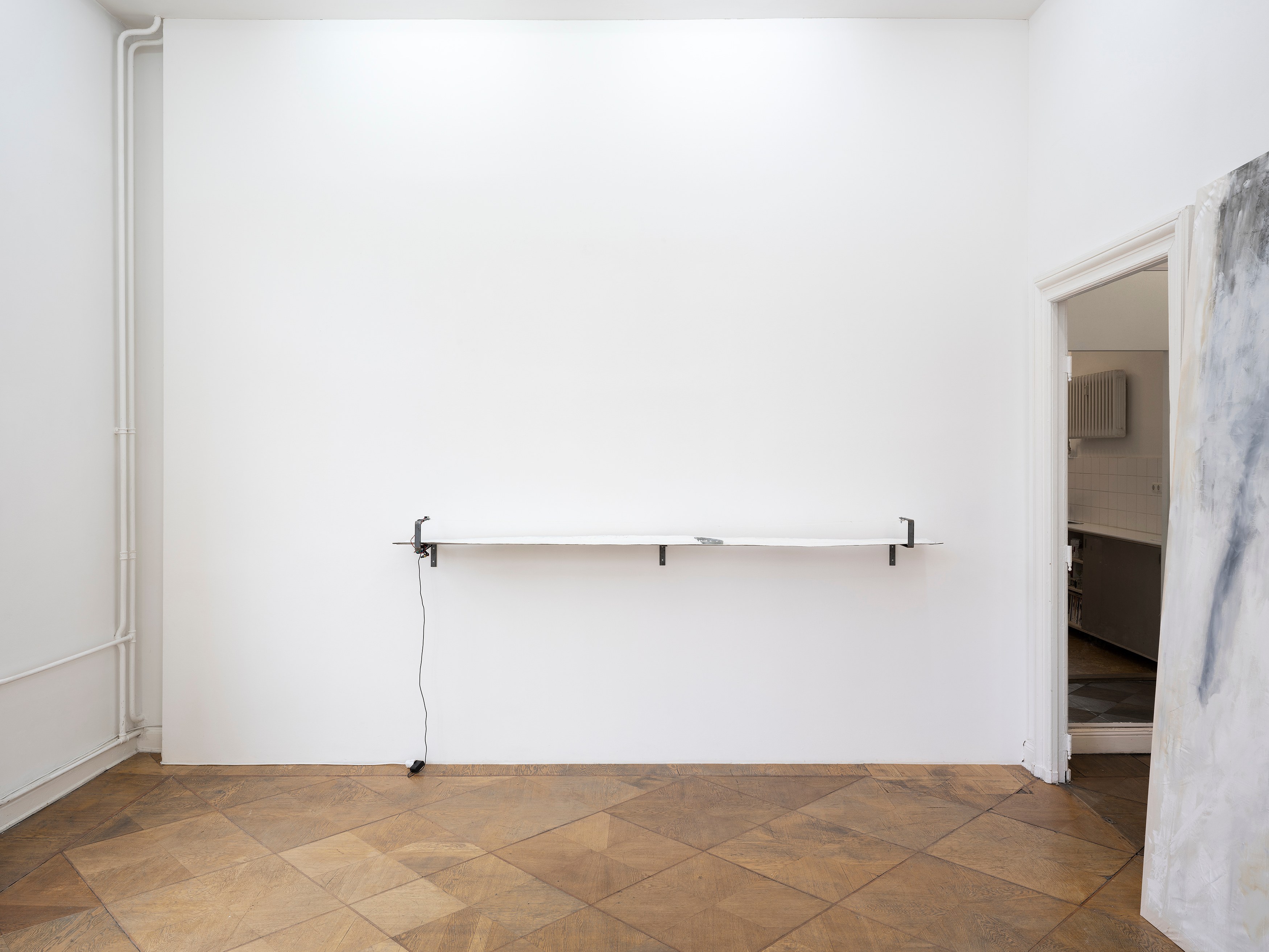 Friedrich Lissmann, image 3 of 16