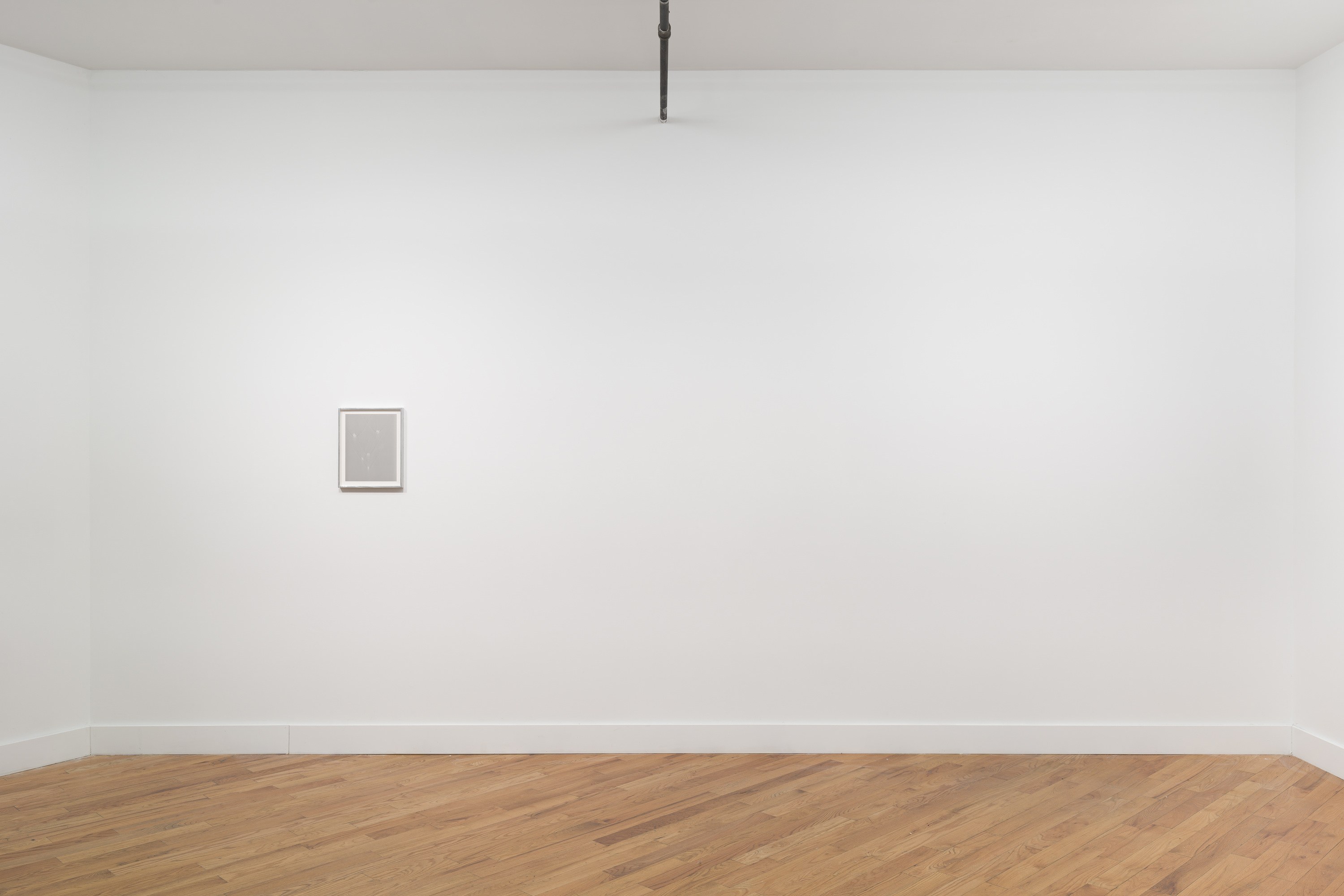 Snake, Turtle, Alligator, Snake, Turtle, Alligator at David Peter Francis, photo 3
