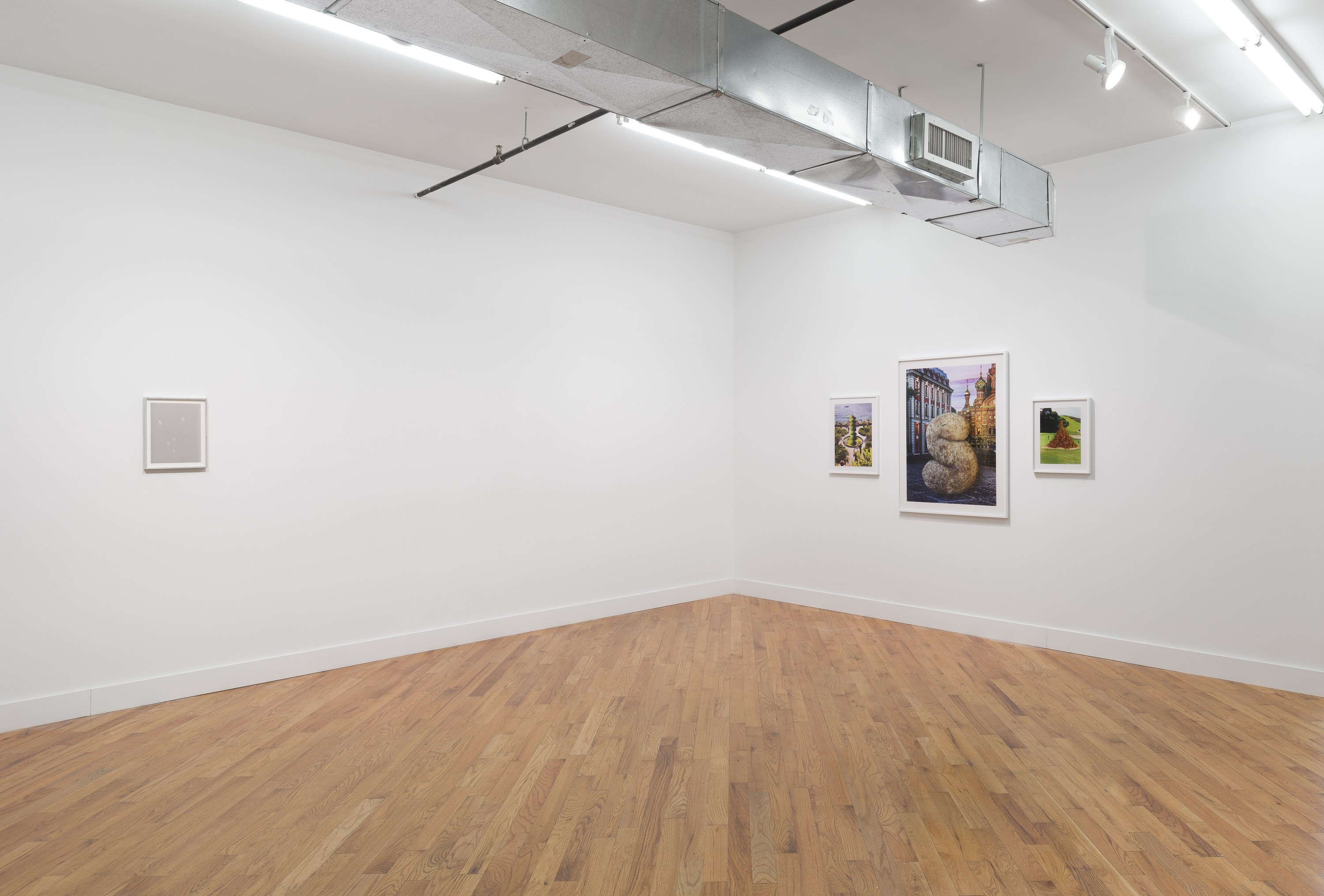 Snake, Turtle, Alligator, Snake, Turtle, Alligator at David Peter Francis, photo 2