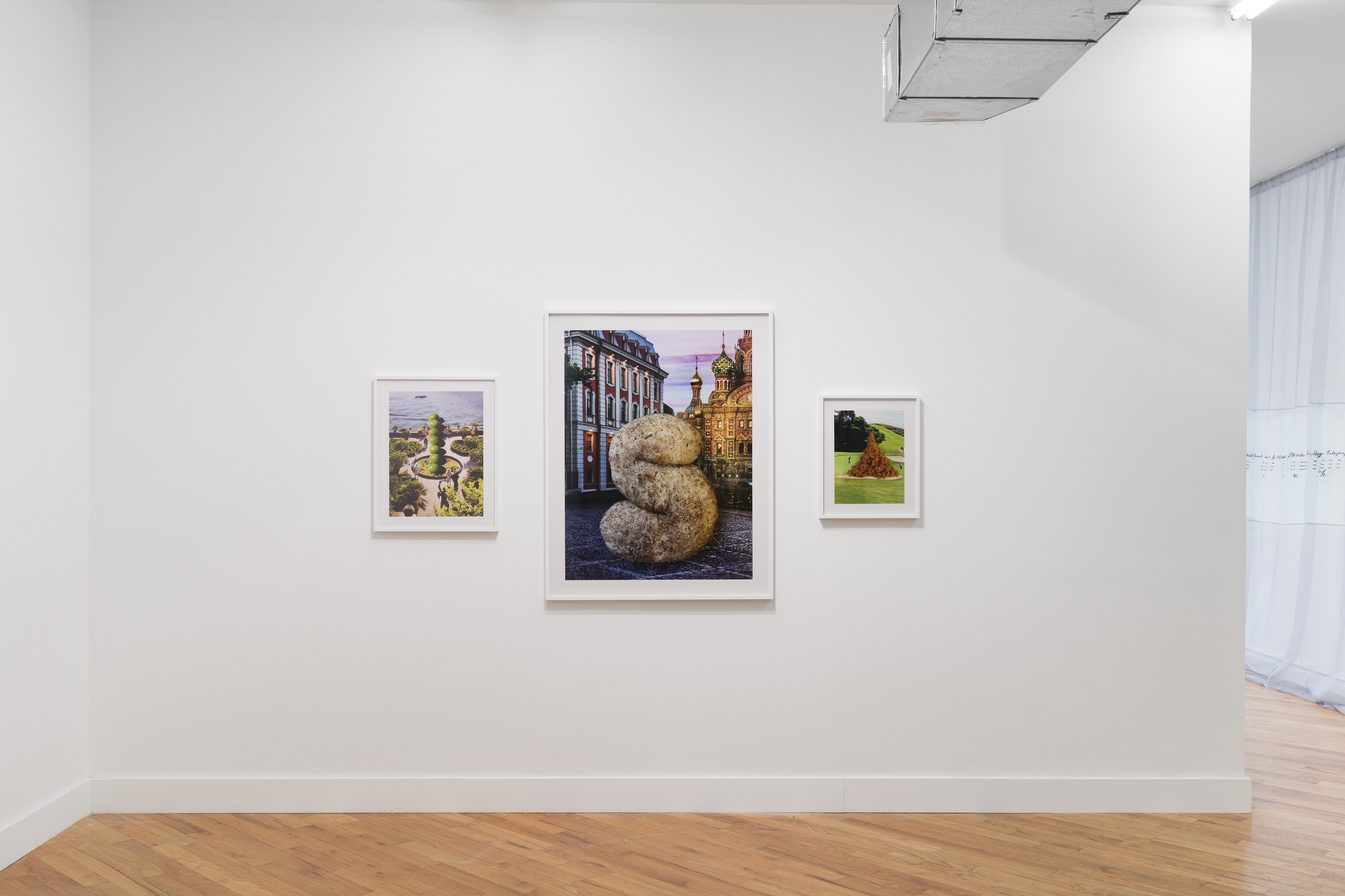 Snake, Turtle, Alligator, Snake, Turtle, Alligator at David Peter Francis, photo 5