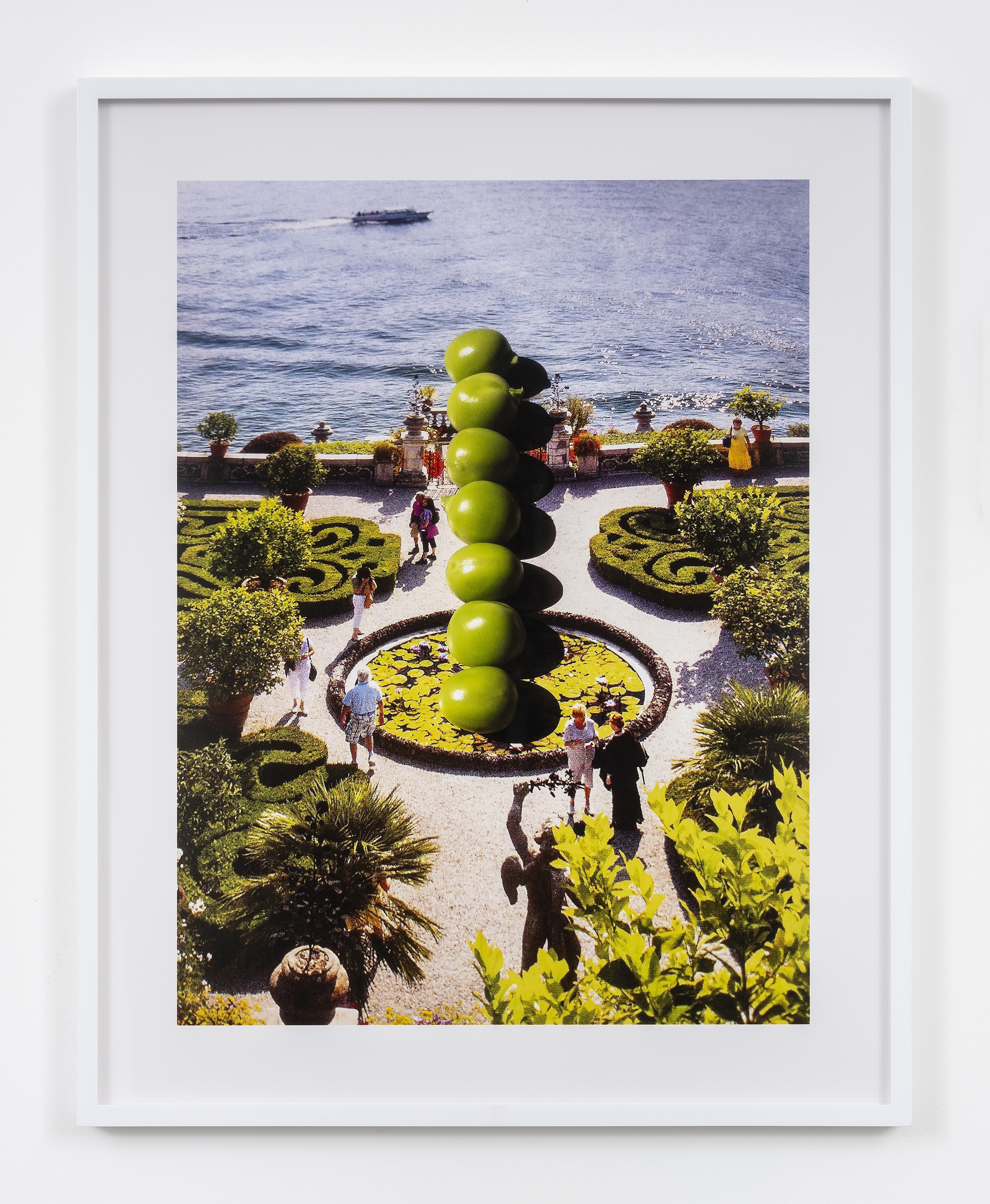 Snake, Turtle, Alligator, Snake, Turtle, Alligator at David Peter Francis, photo 6