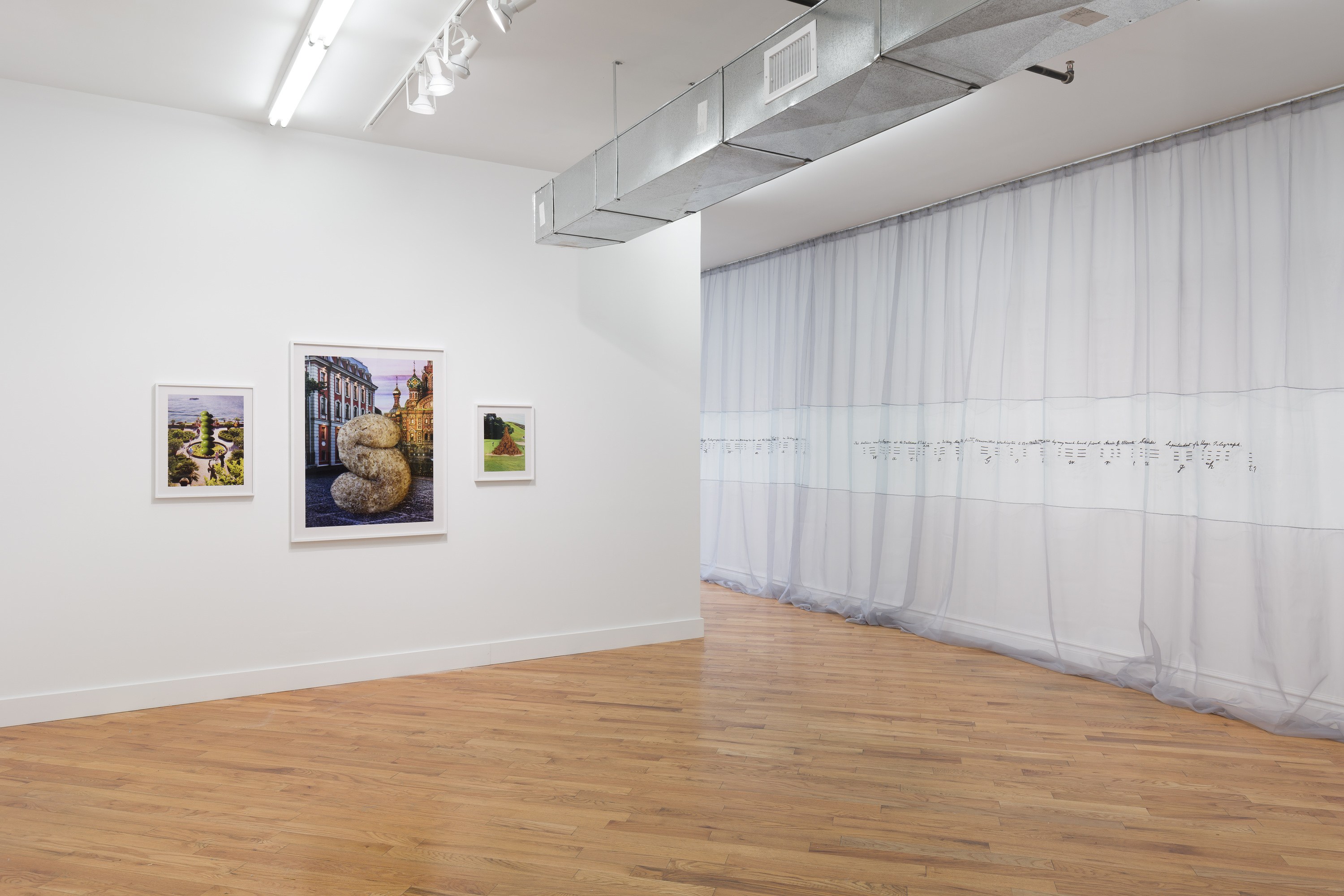 Snake, Turtle, Alligator, Snake, Turtle, Alligator at David Peter Francis, photo 9