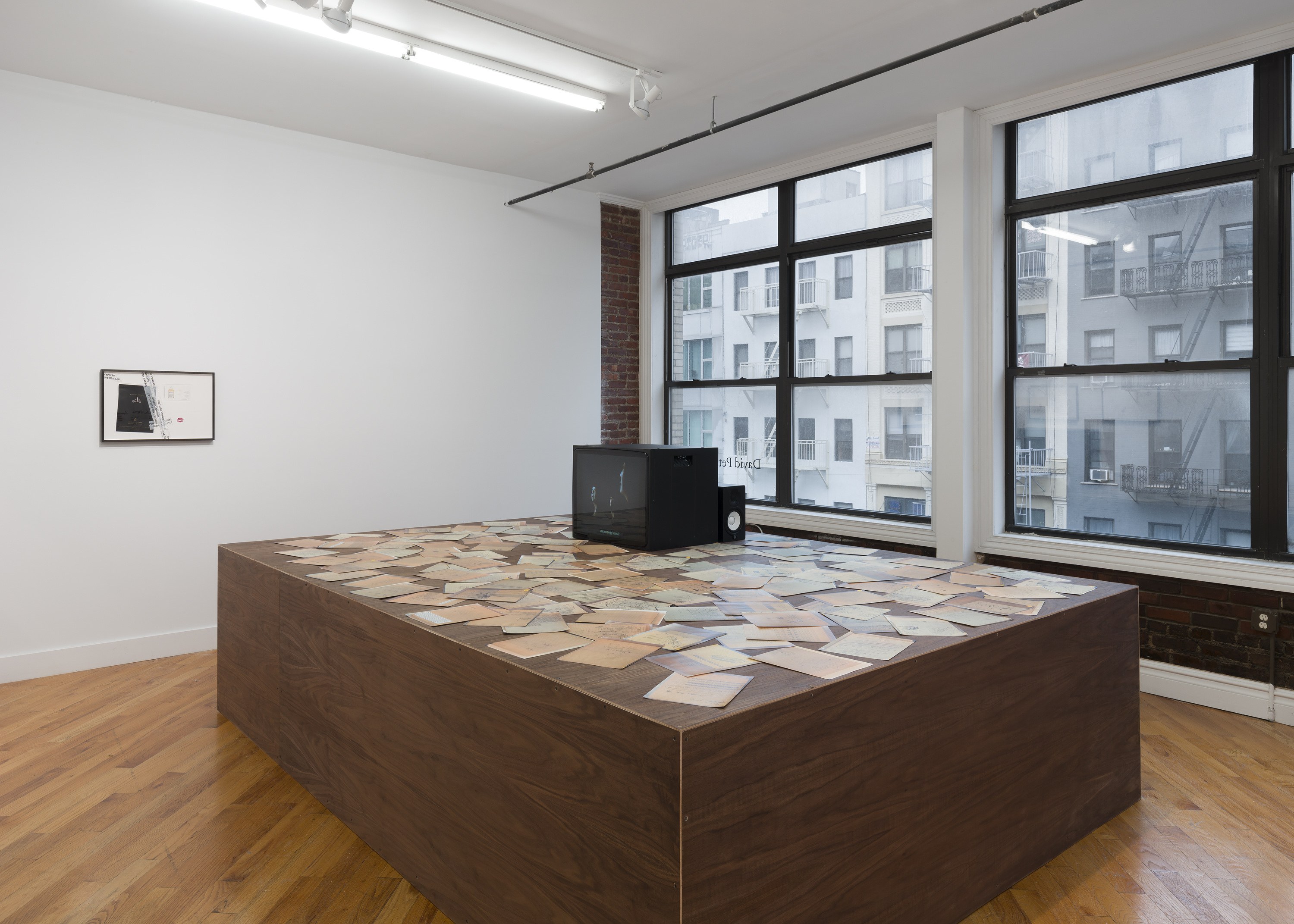 Snake, Turtle, Alligator, Snake, Turtle, Alligator at David Peter Francis, photo 13