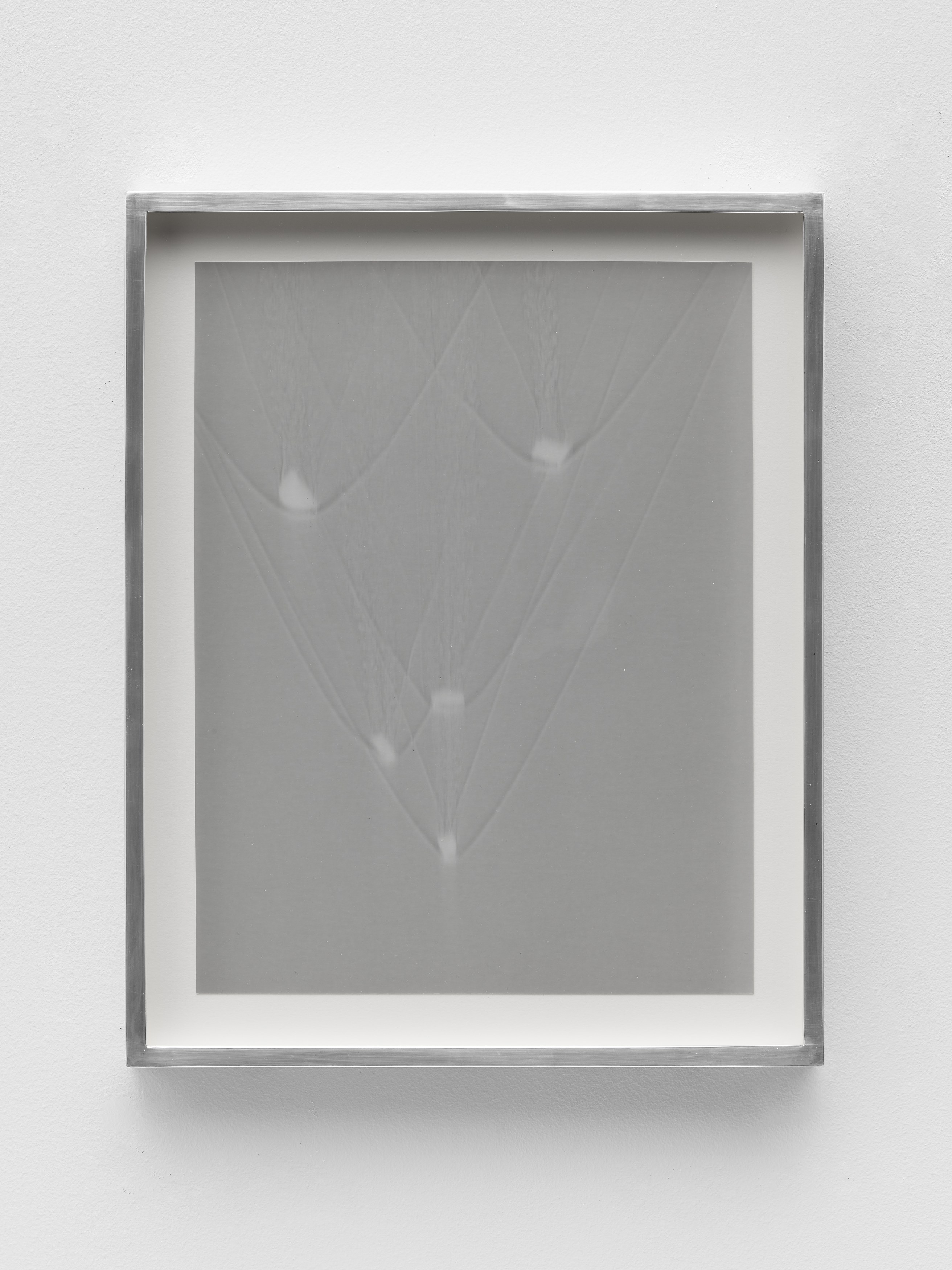 Snake, Turtle, Alligator, Snake, Turtle, Alligator at David Peter Francis, photo 4