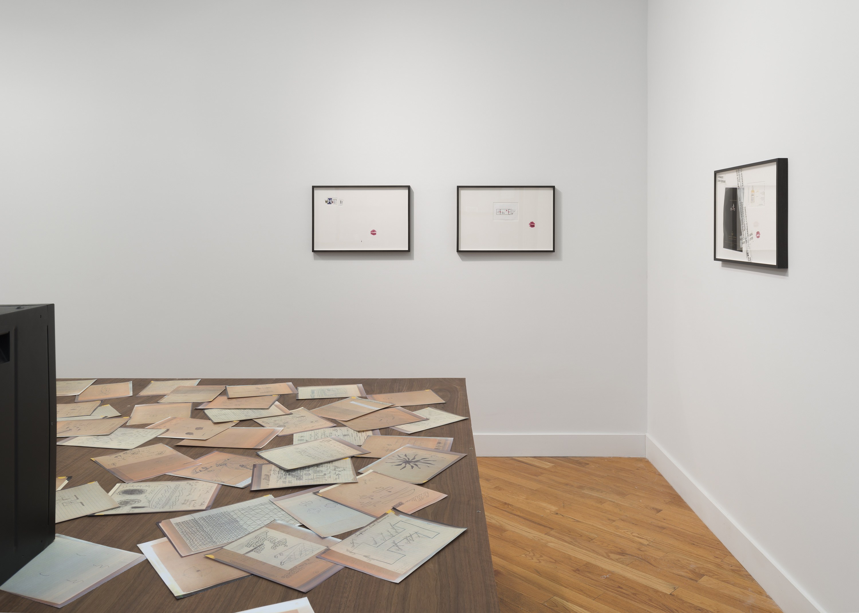 Snake, Turtle, Alligator, Snake, Turtle, Alligator at David Peter Francis, photo 24