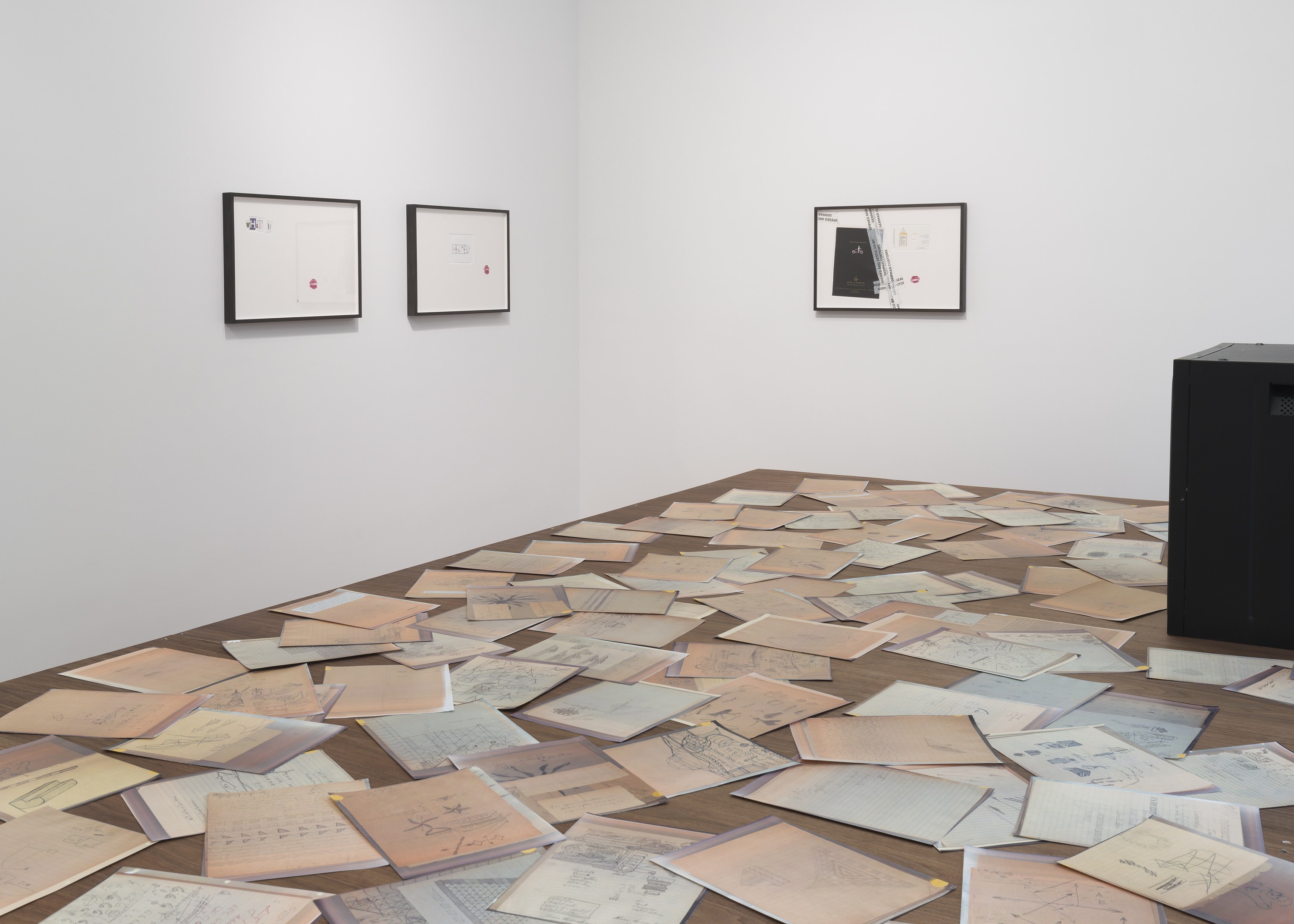 Snake, Turtle, Alligator, Snake, Turtle, Alligator at David Peter Francis, photo 27