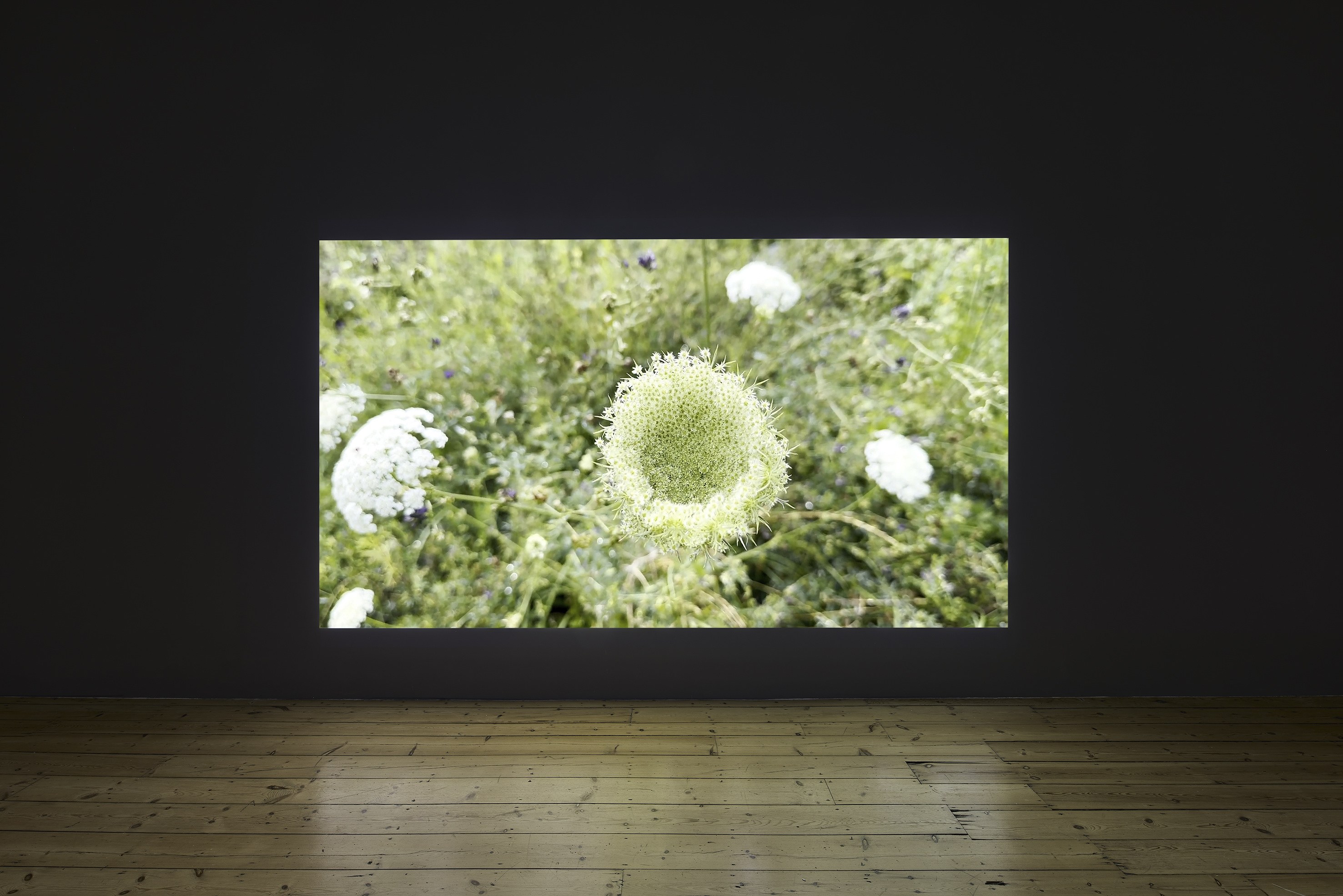 Wolfgang Tillmans, Build From Here at Studio M, photo 6