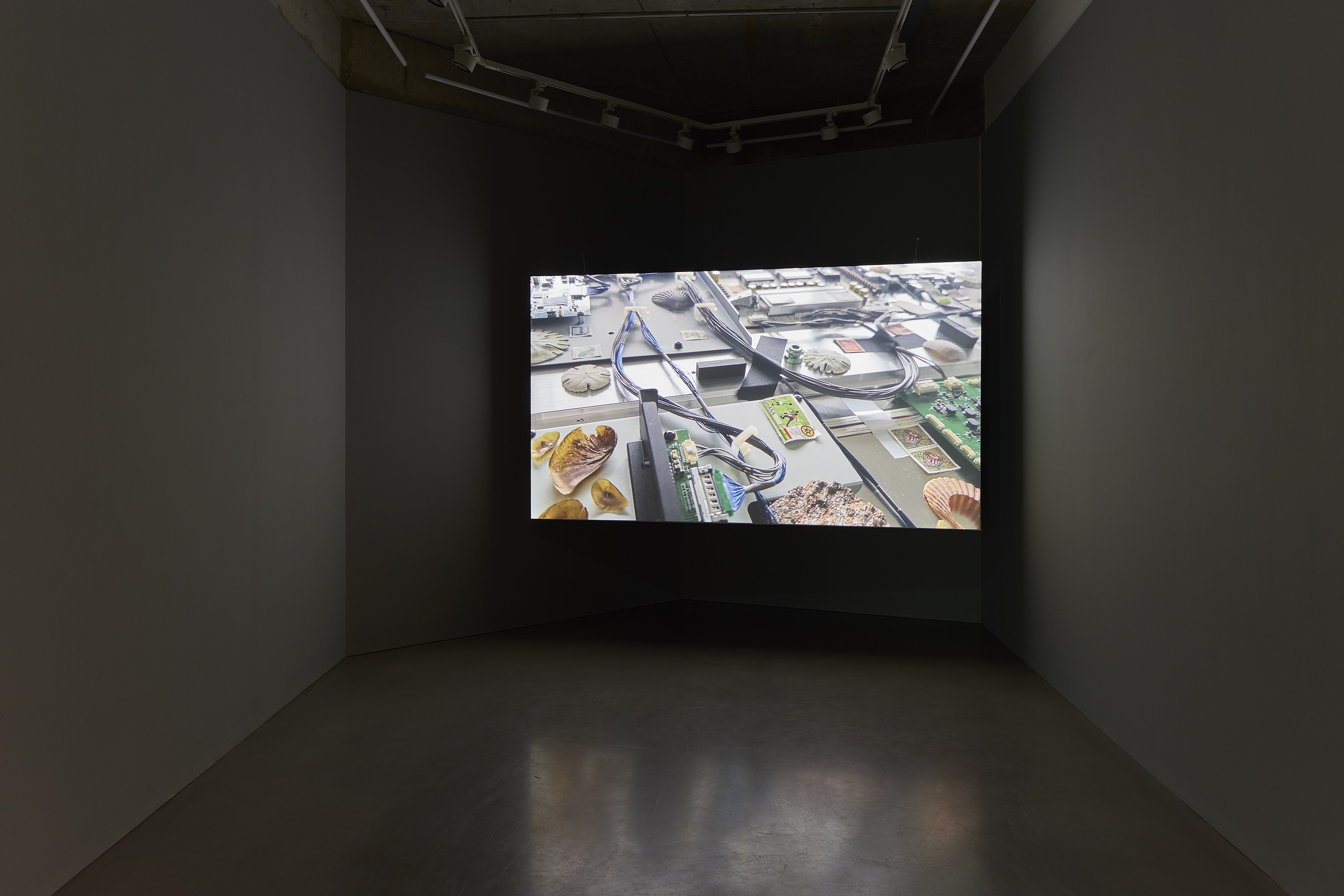 Wolfgang Tillmans, Build From Here at Studio M, photo 4