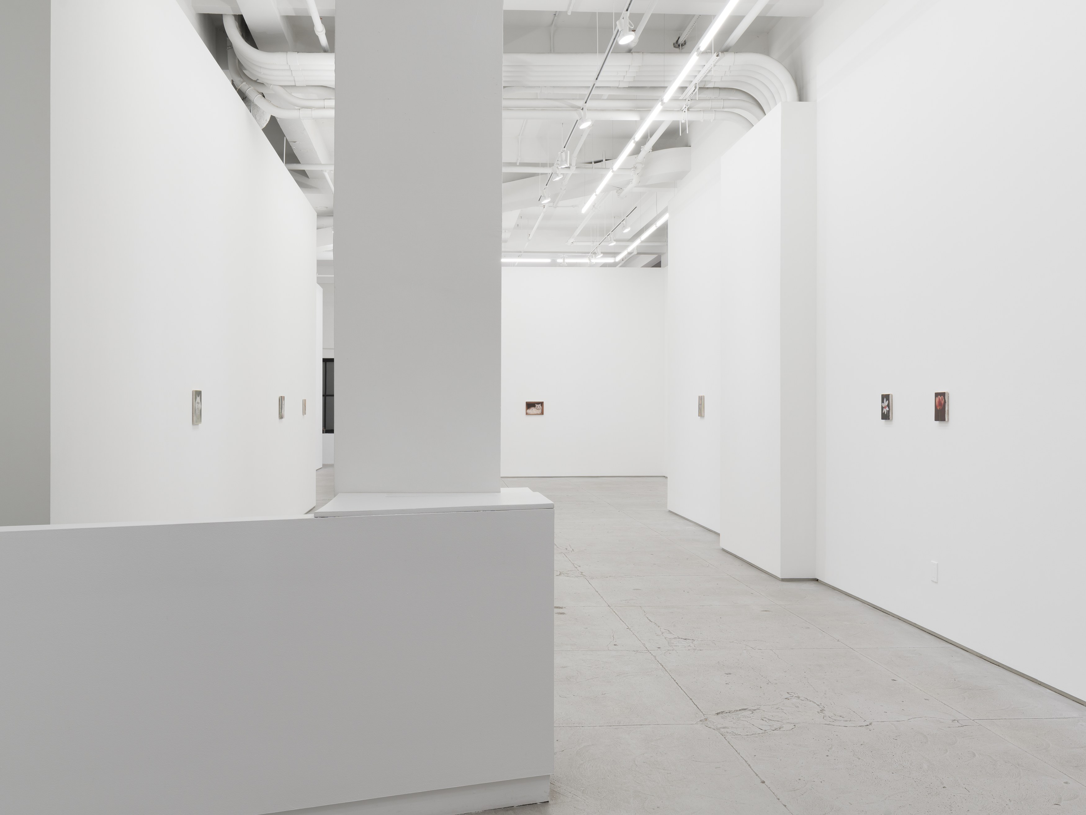 Installation view 2