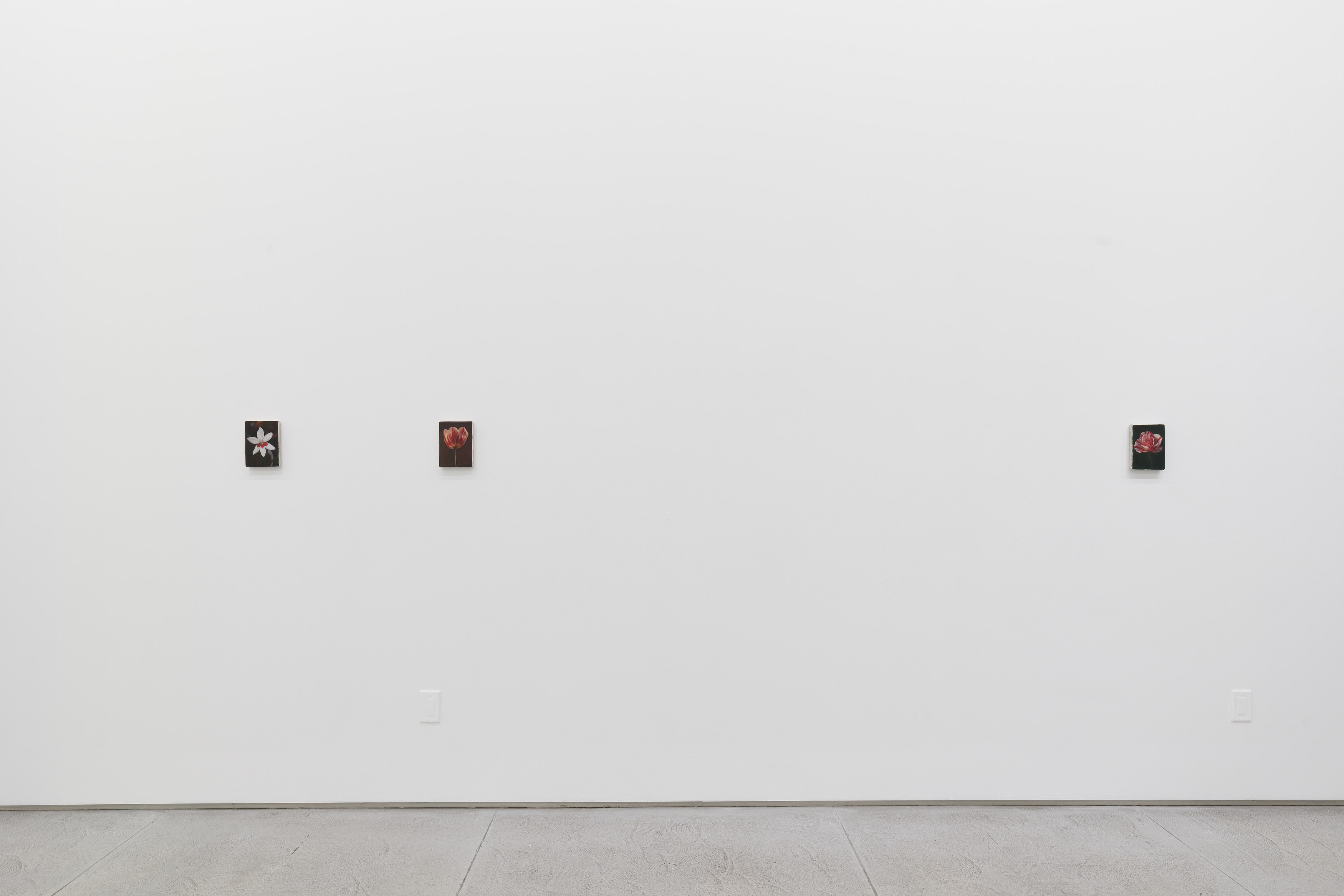 Installation view 3