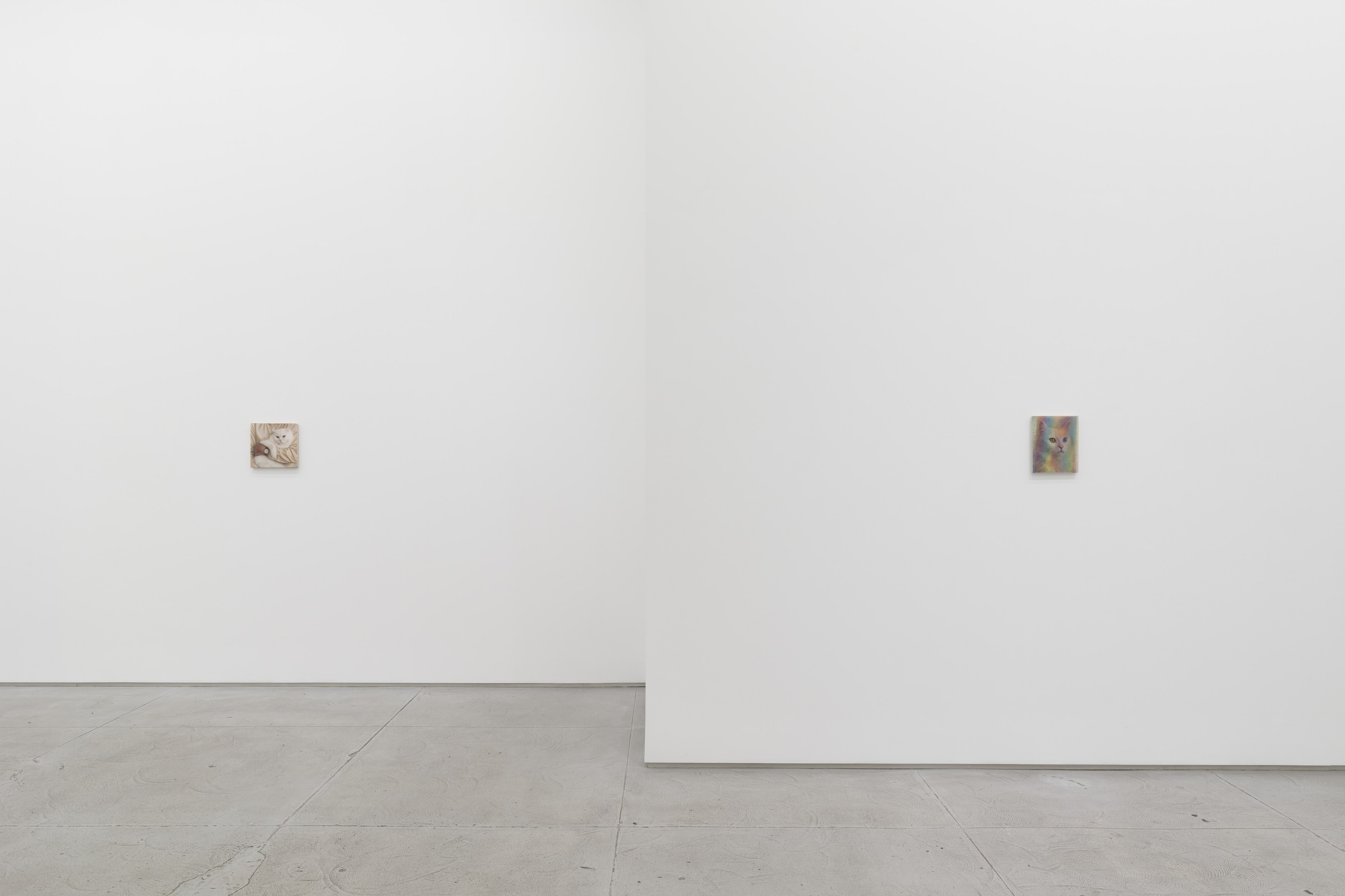Installation view 4