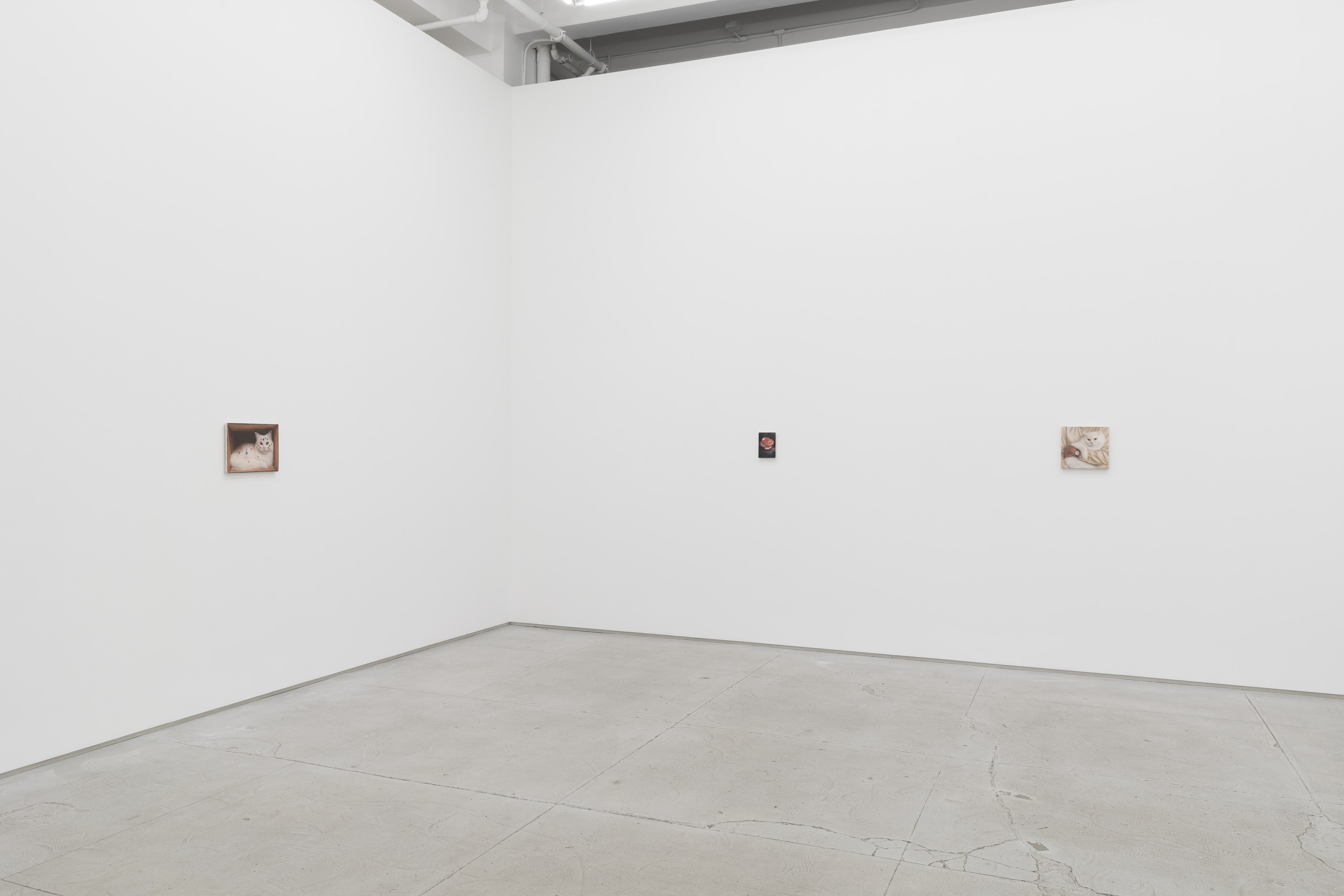 Installation view 6