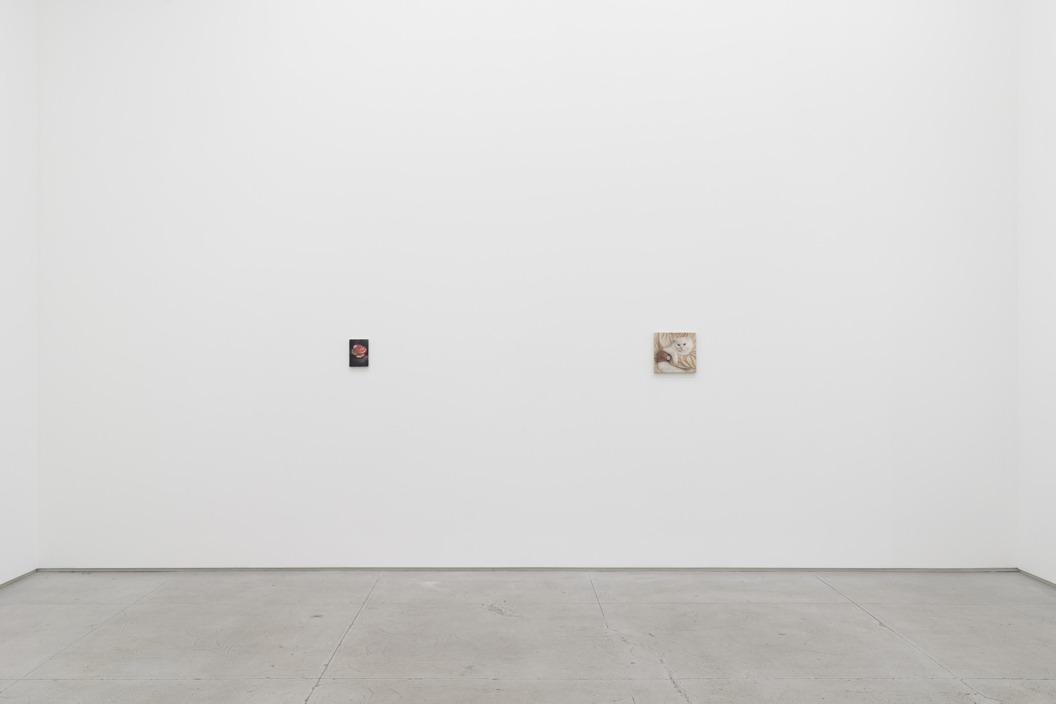 Installation view 5