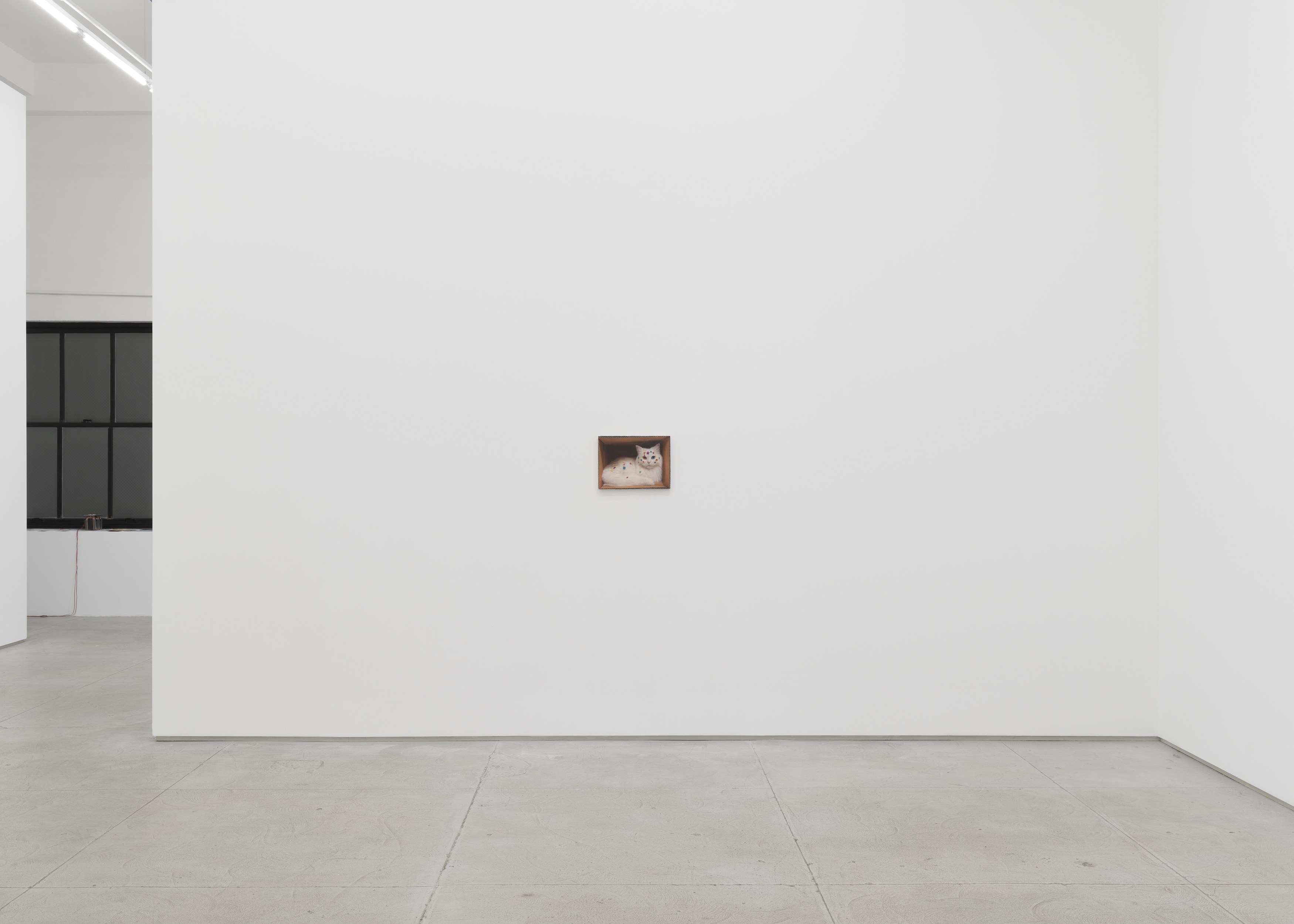 Installation view 7