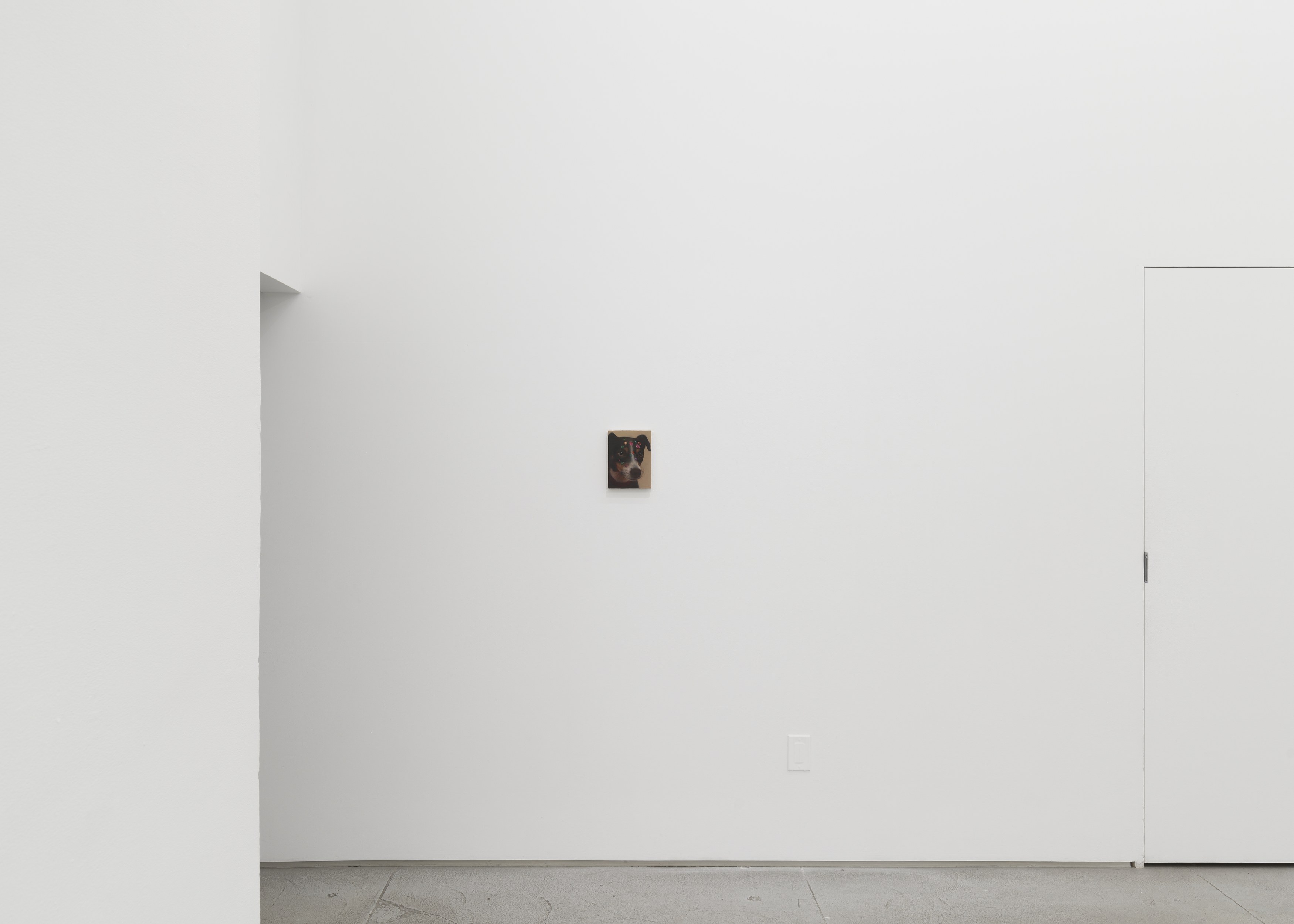 Installation view 8