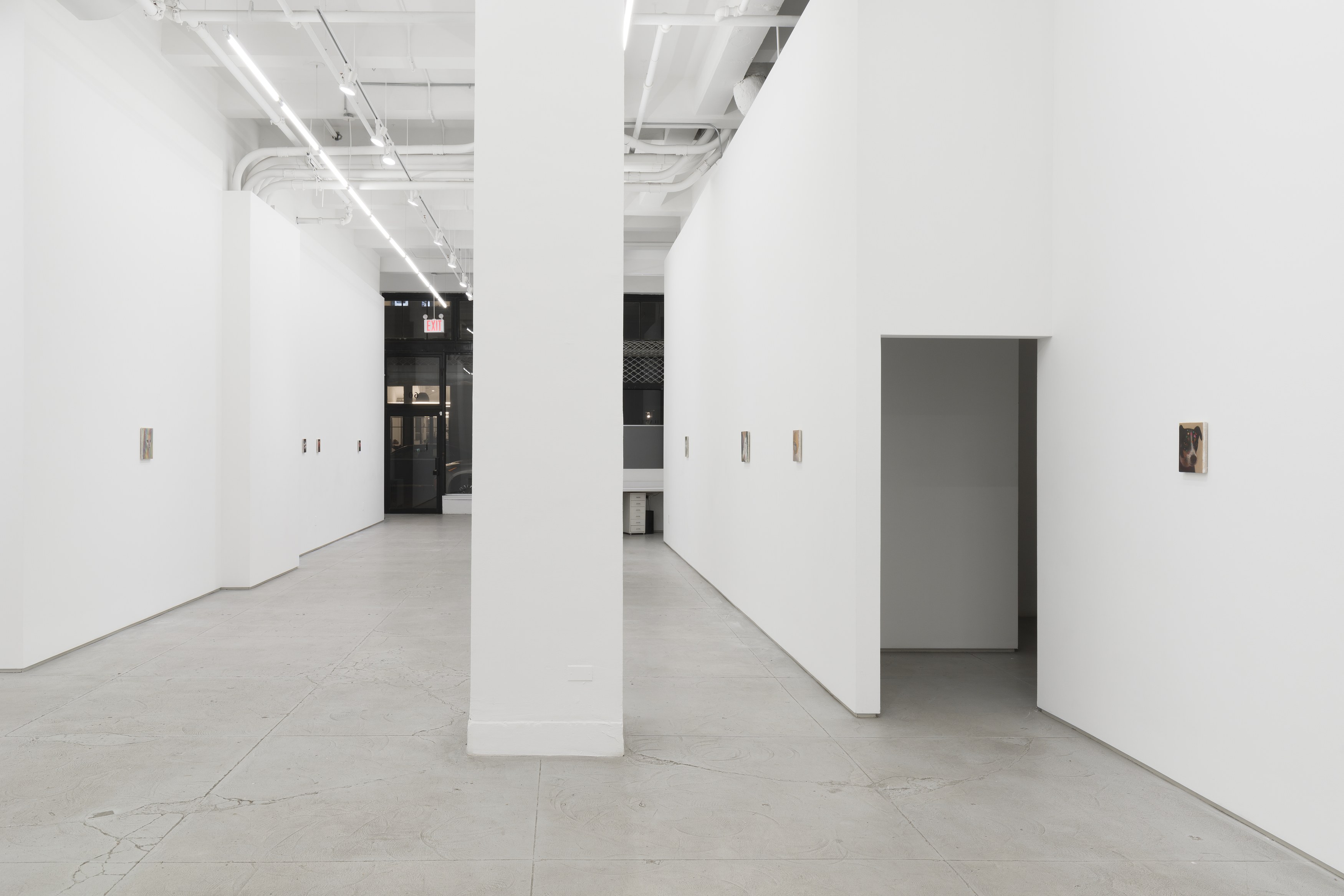 Installation view 9