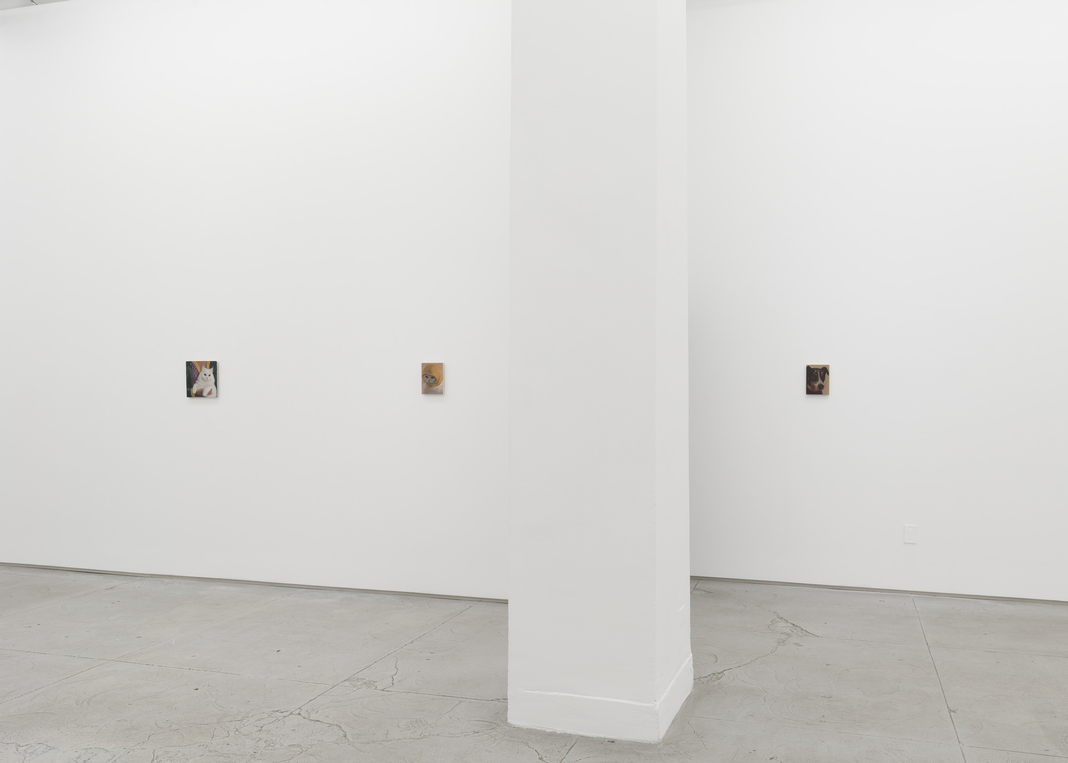 Installation view 10