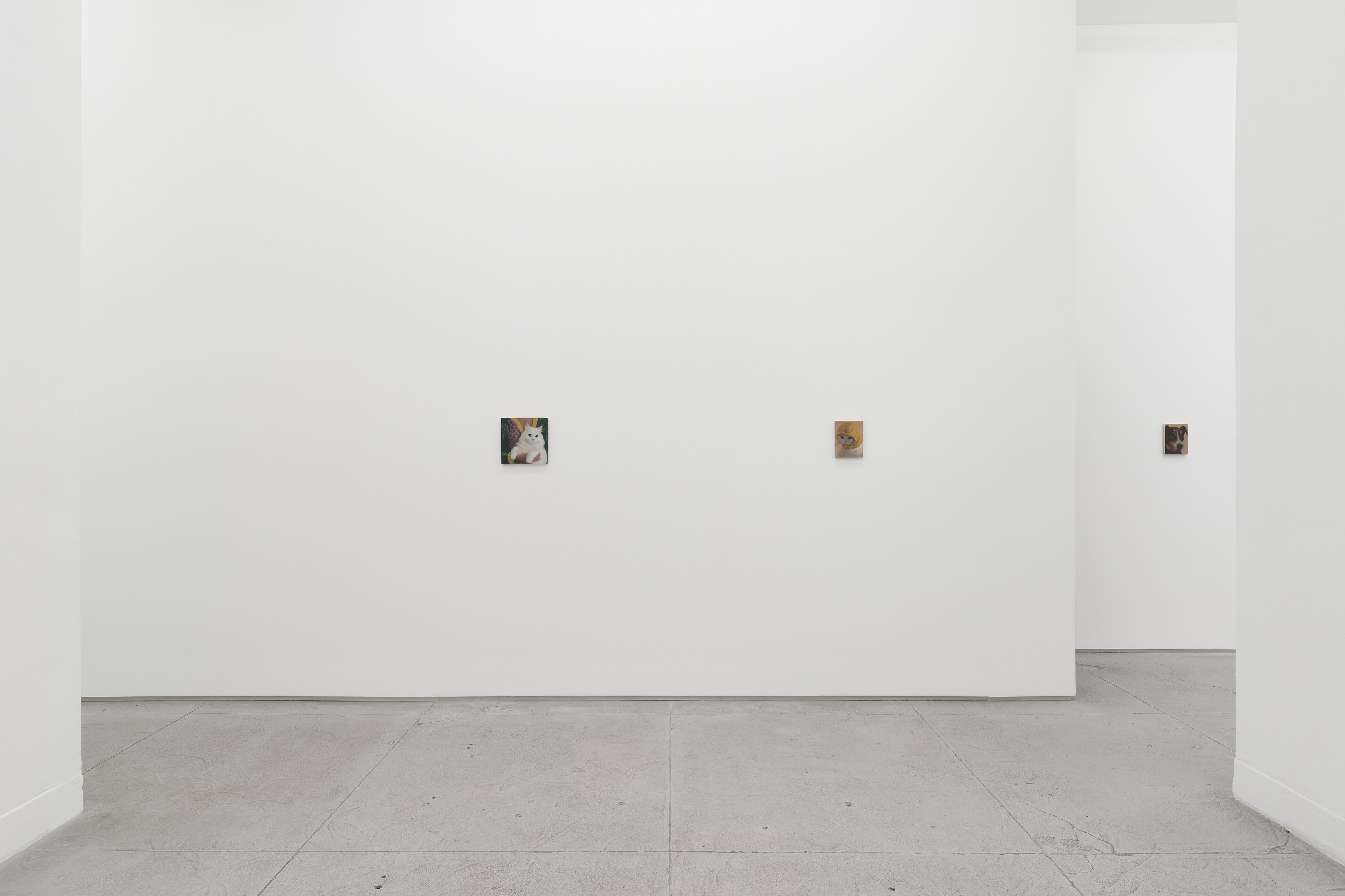 Installation view 11
