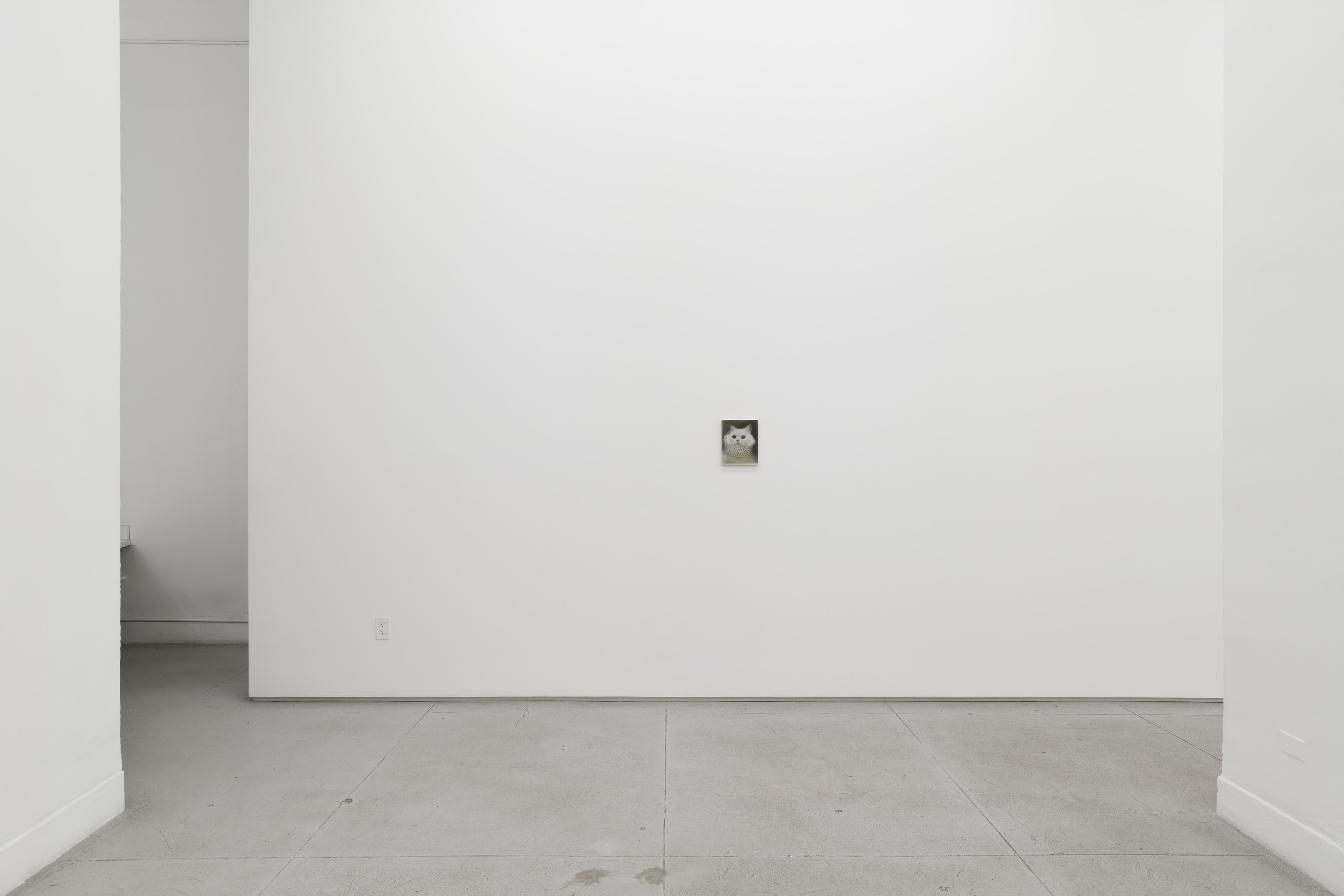 Installation view 12