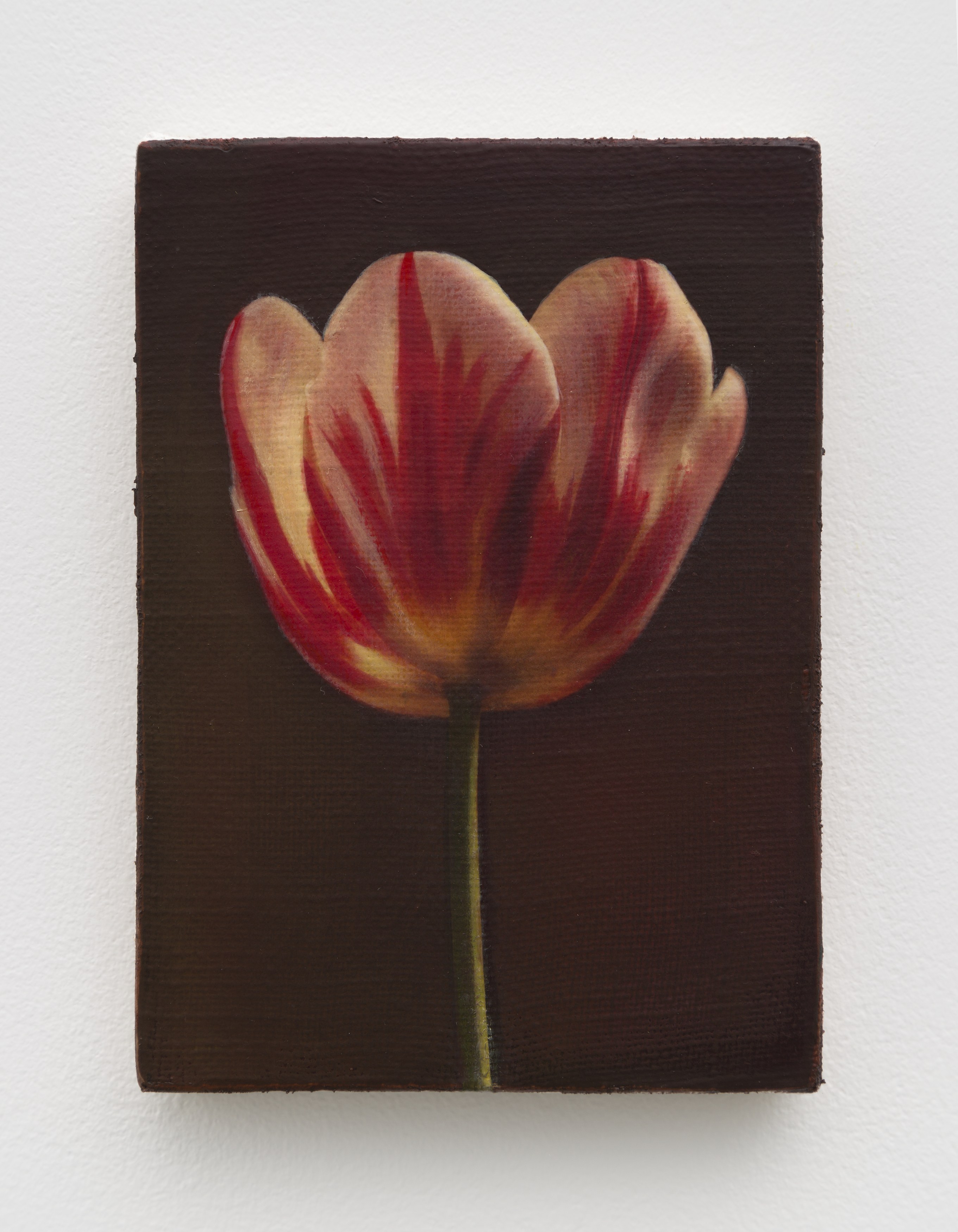 Joseph Jones, Joseph Jones at Chapter NY, photo 18