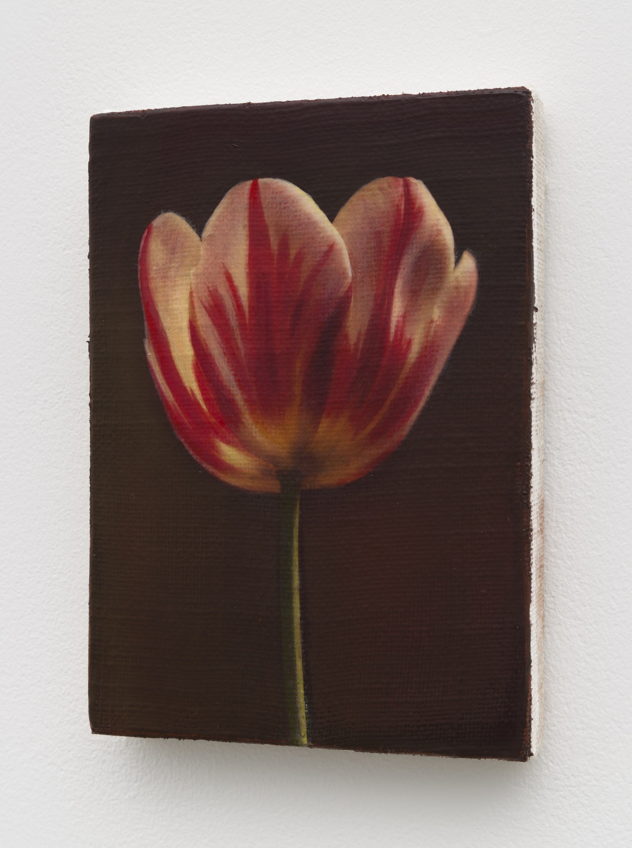 Joseph Jones, Joseph Jones at Chapter NY, photo 19