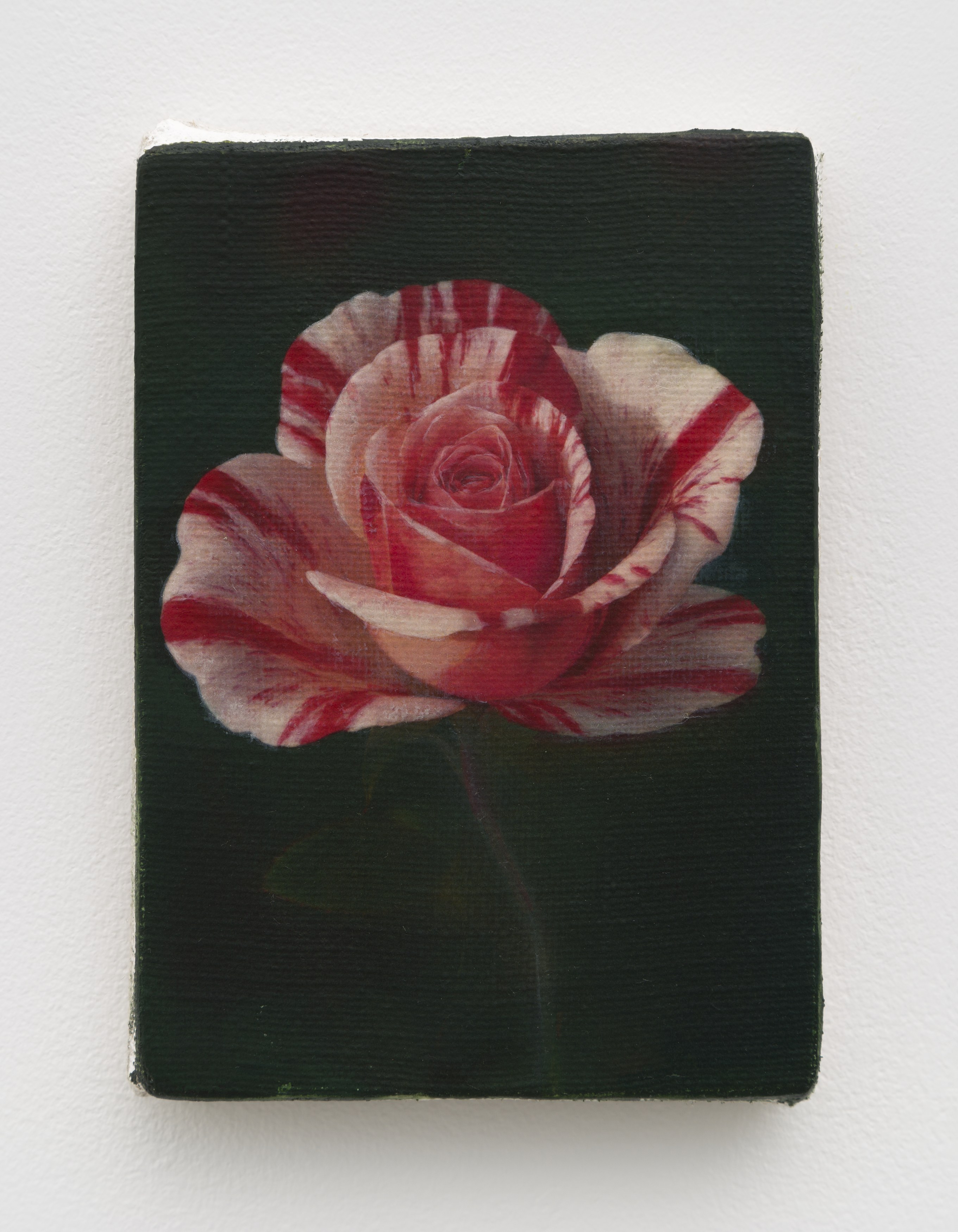 Joseph Jones, Joseph Jones at Chapter NY, photo 21