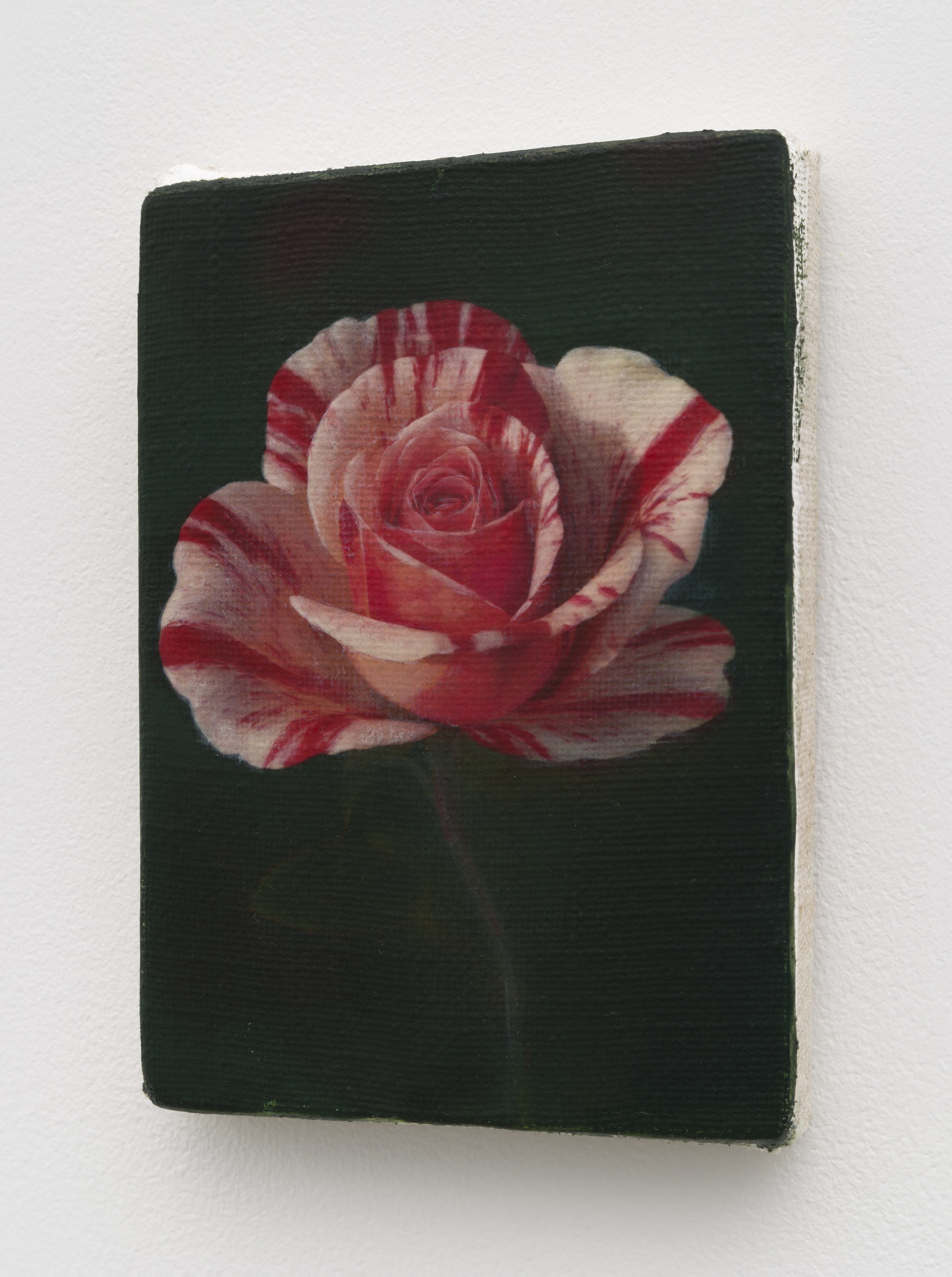 Joseph Jones, Joseph Jones at Chapter NY, photo 22