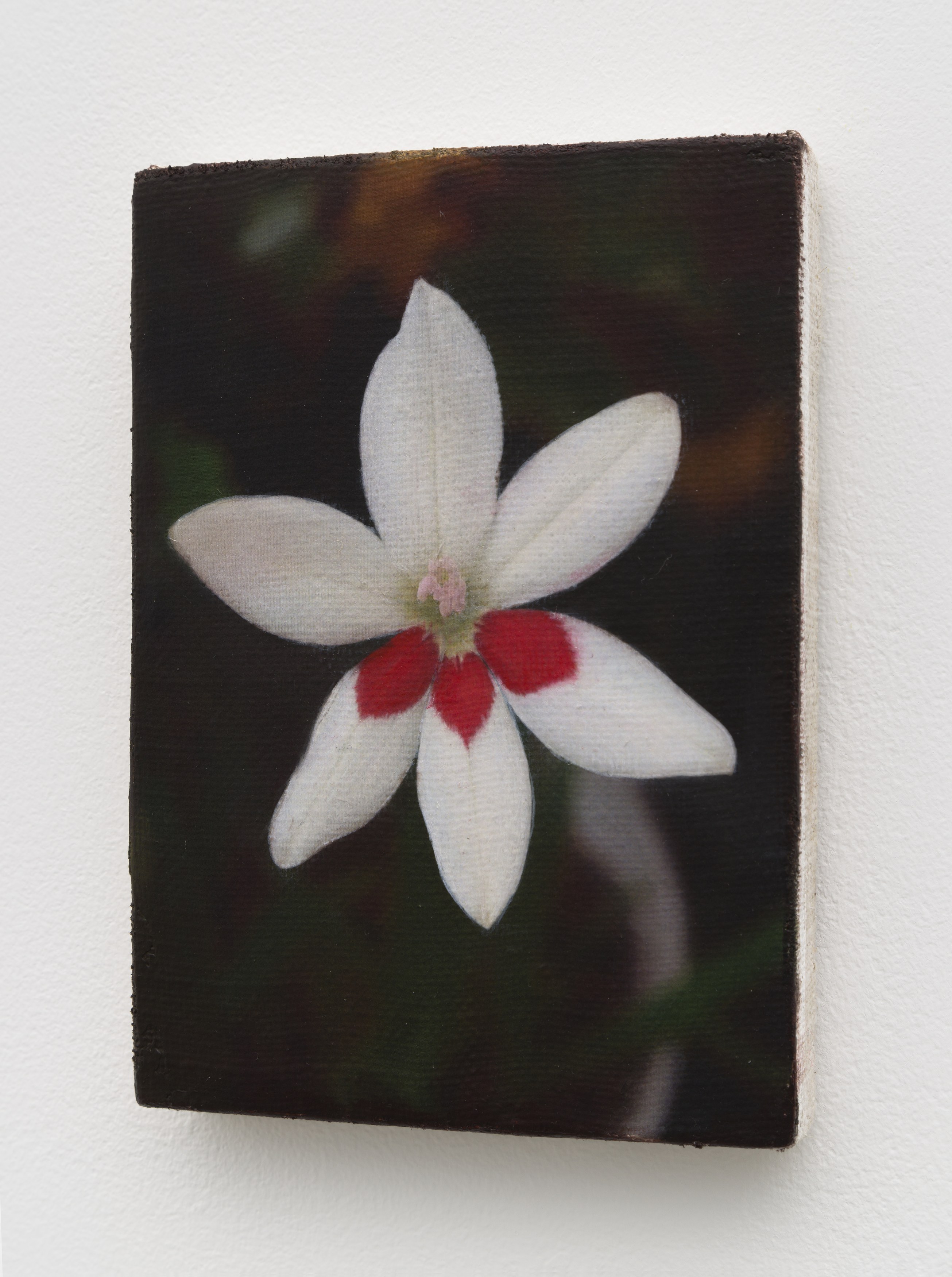 Joseph Jones, Joseph Jones at Chapter NY, photo 27