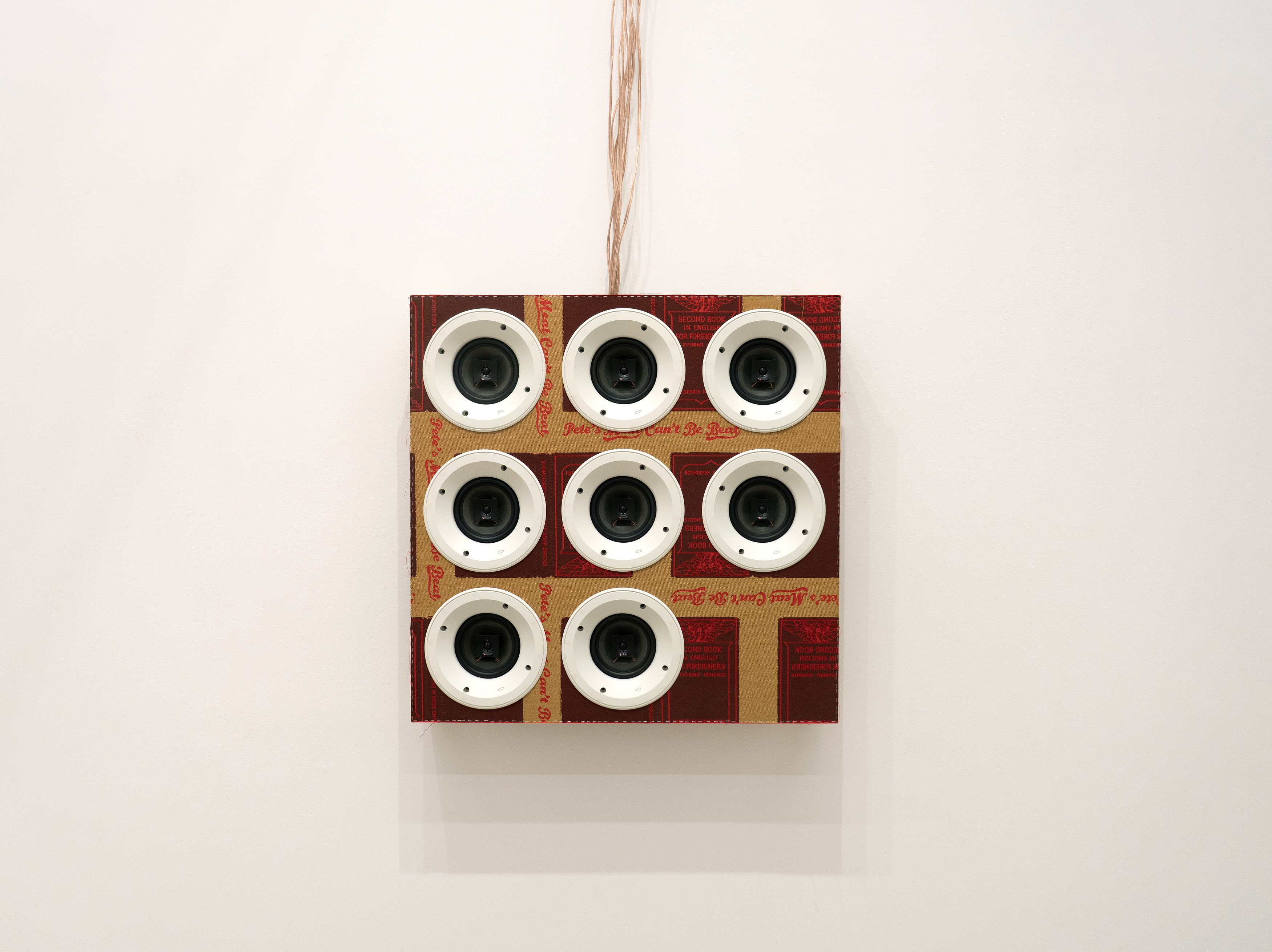Stephen Prina, English for Foreigners (Abridged: the Sequel) at Petzel, photo 4
