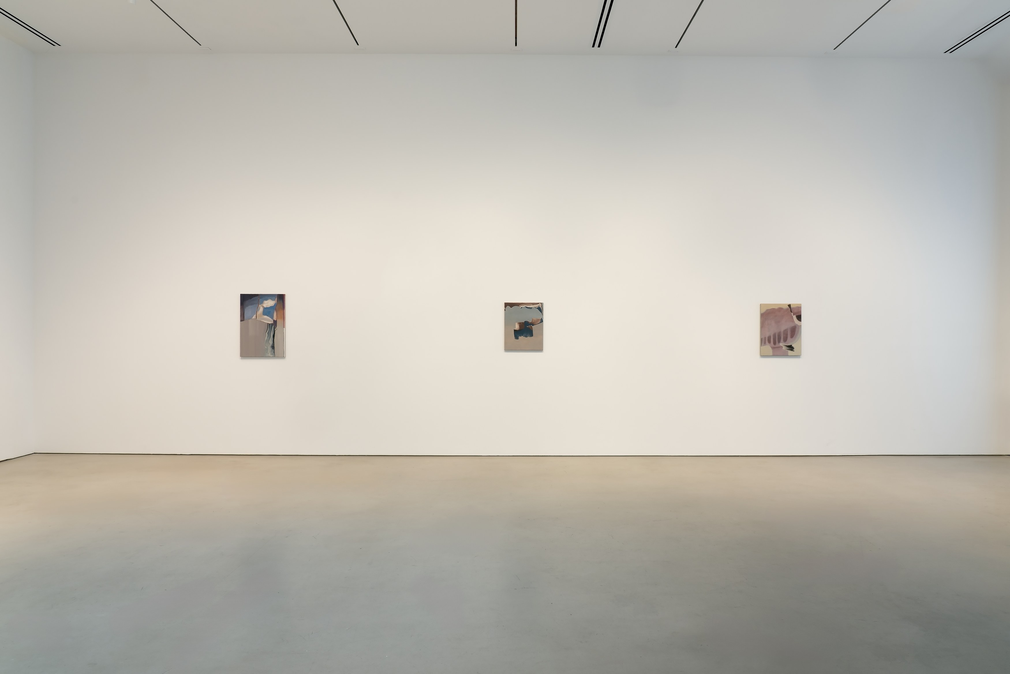 Rezi van Lankveld, Premonitions at Petzel, photo 2