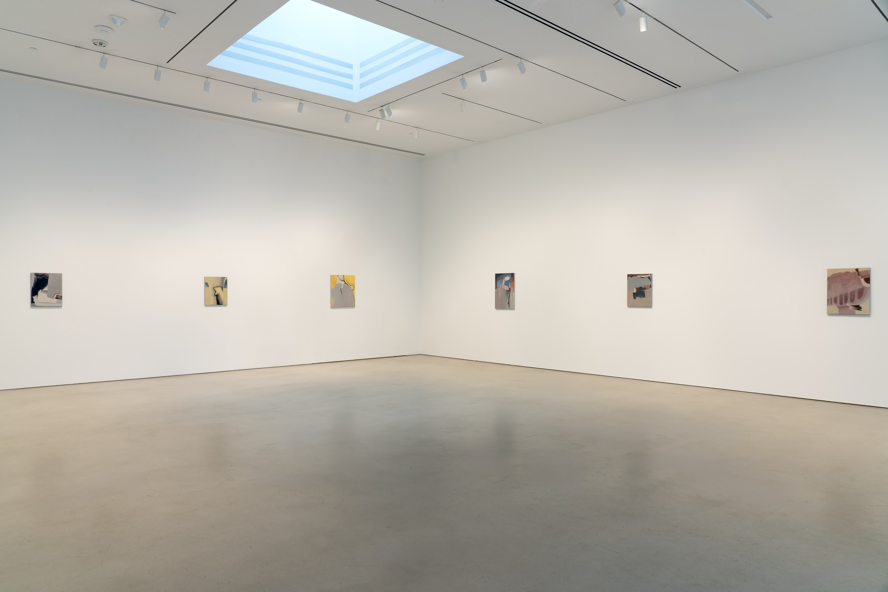 Rezi van Lankveld, Premonitions at Petzel, photo 6
