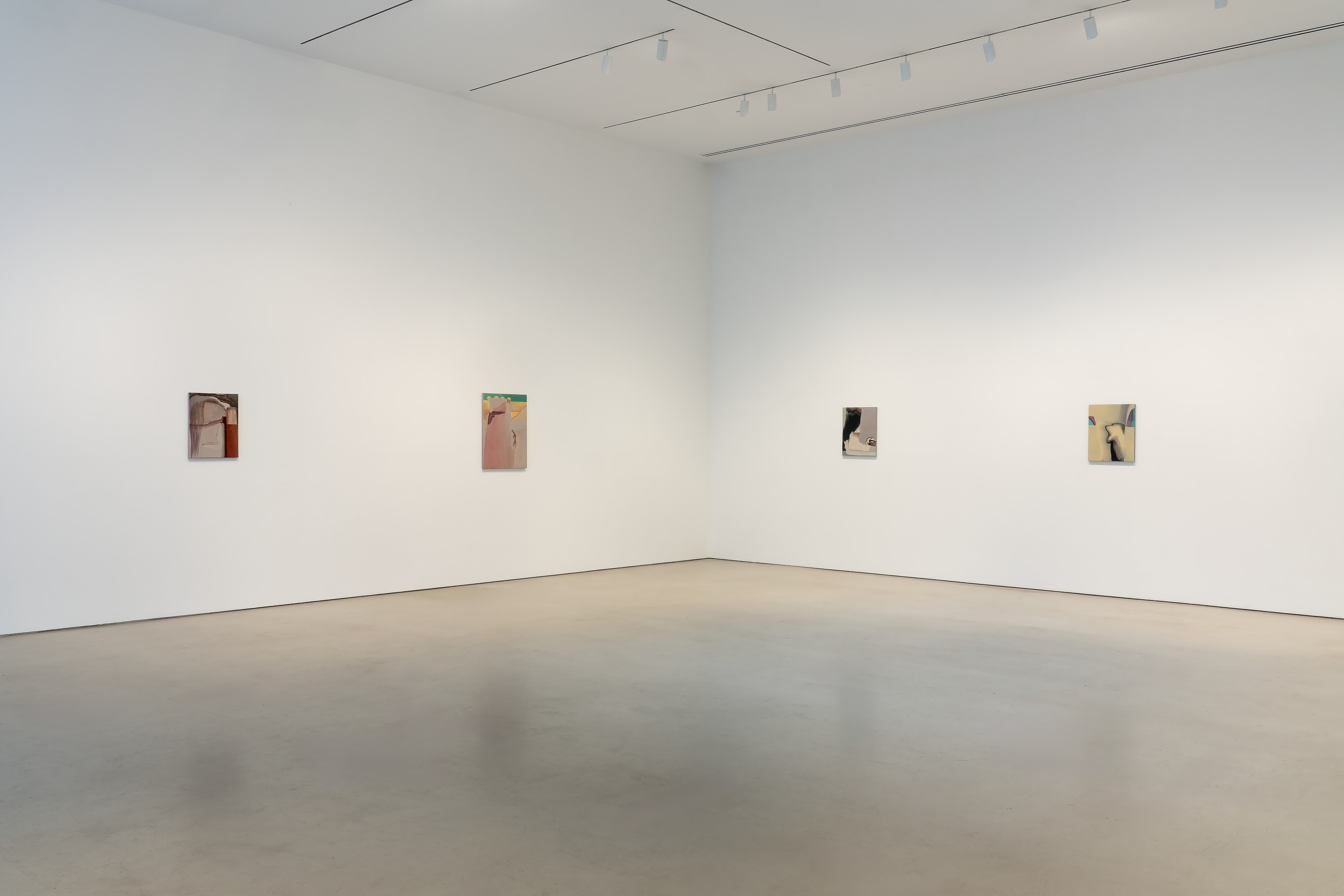 Rezi van Lankveld, Premonitions at Petzel, photo 5