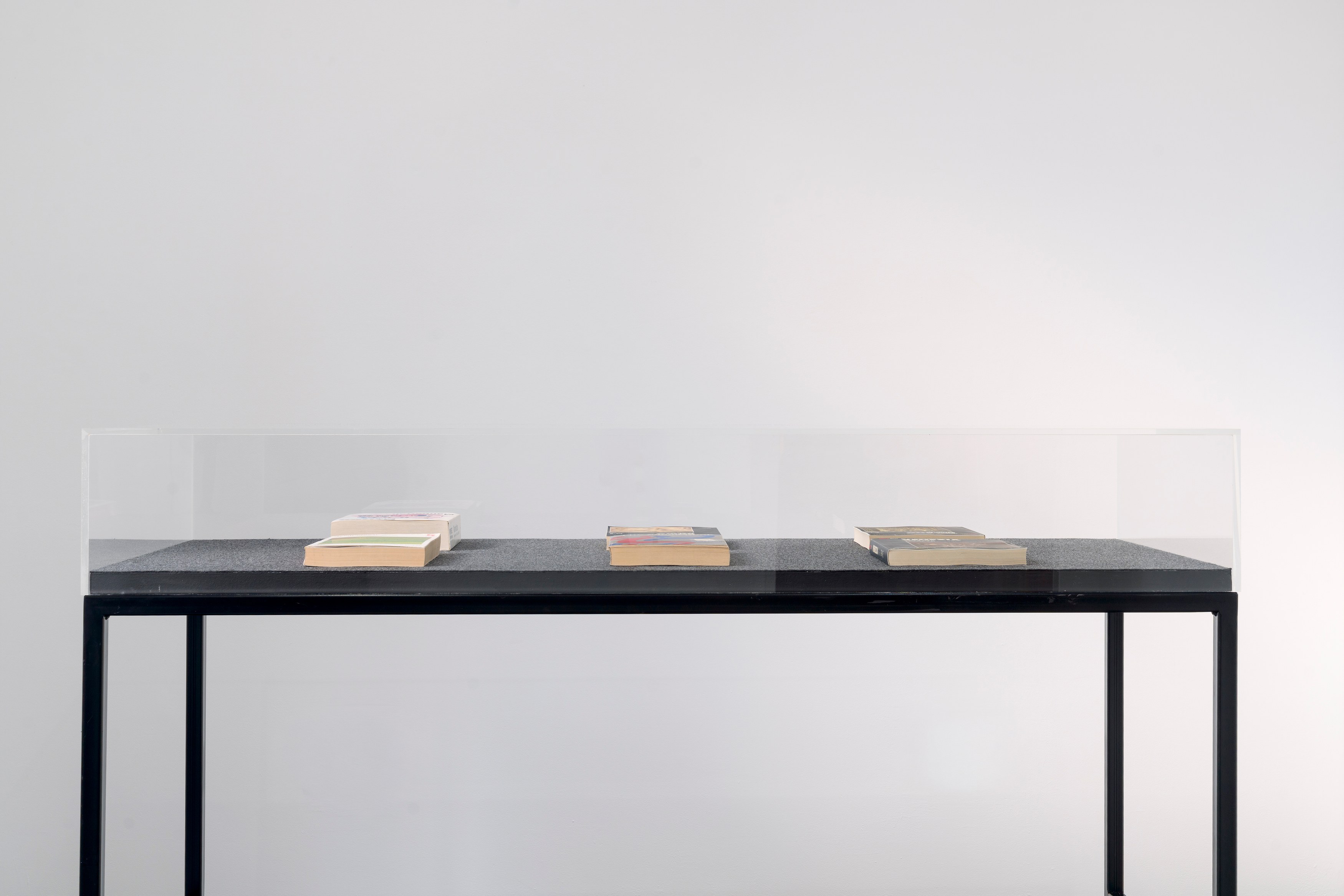 Elizabeth Wright, New Works and Selected Works From 1994–1998 at Cell Project Space, photo 3