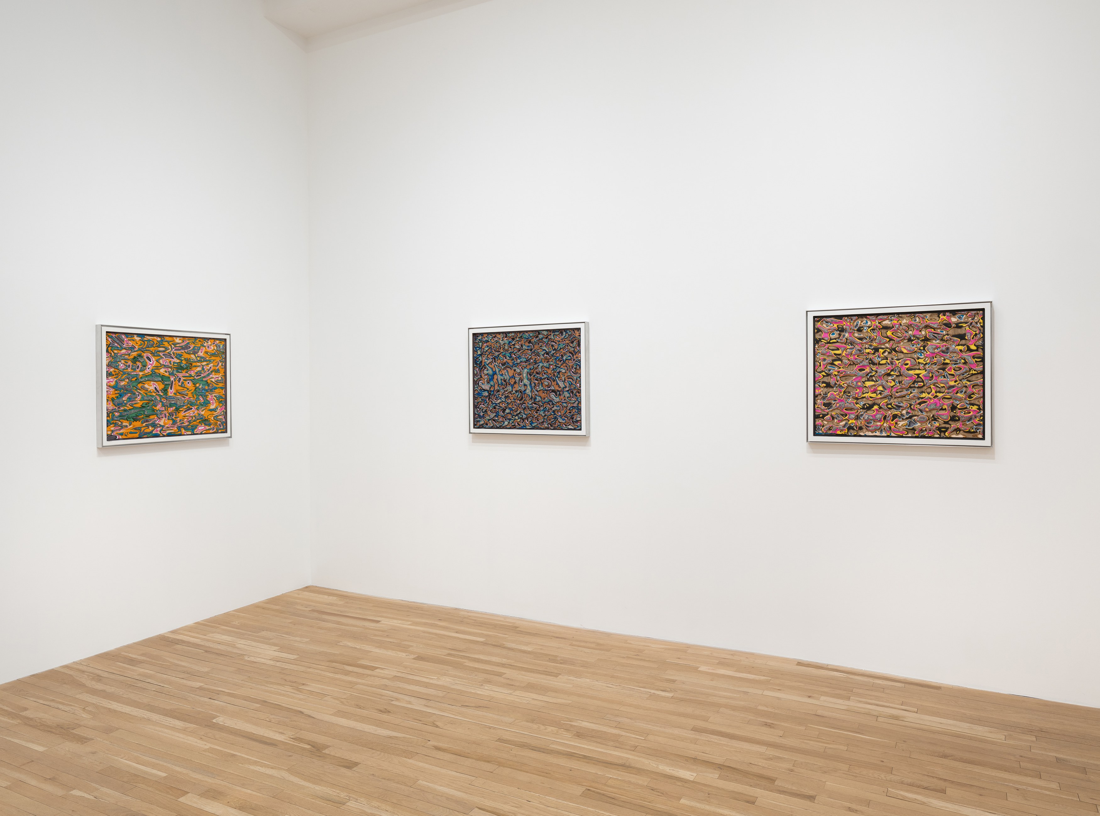 Ara Peterson, Stratacaster at Derek Eller Gallery, photo 4
