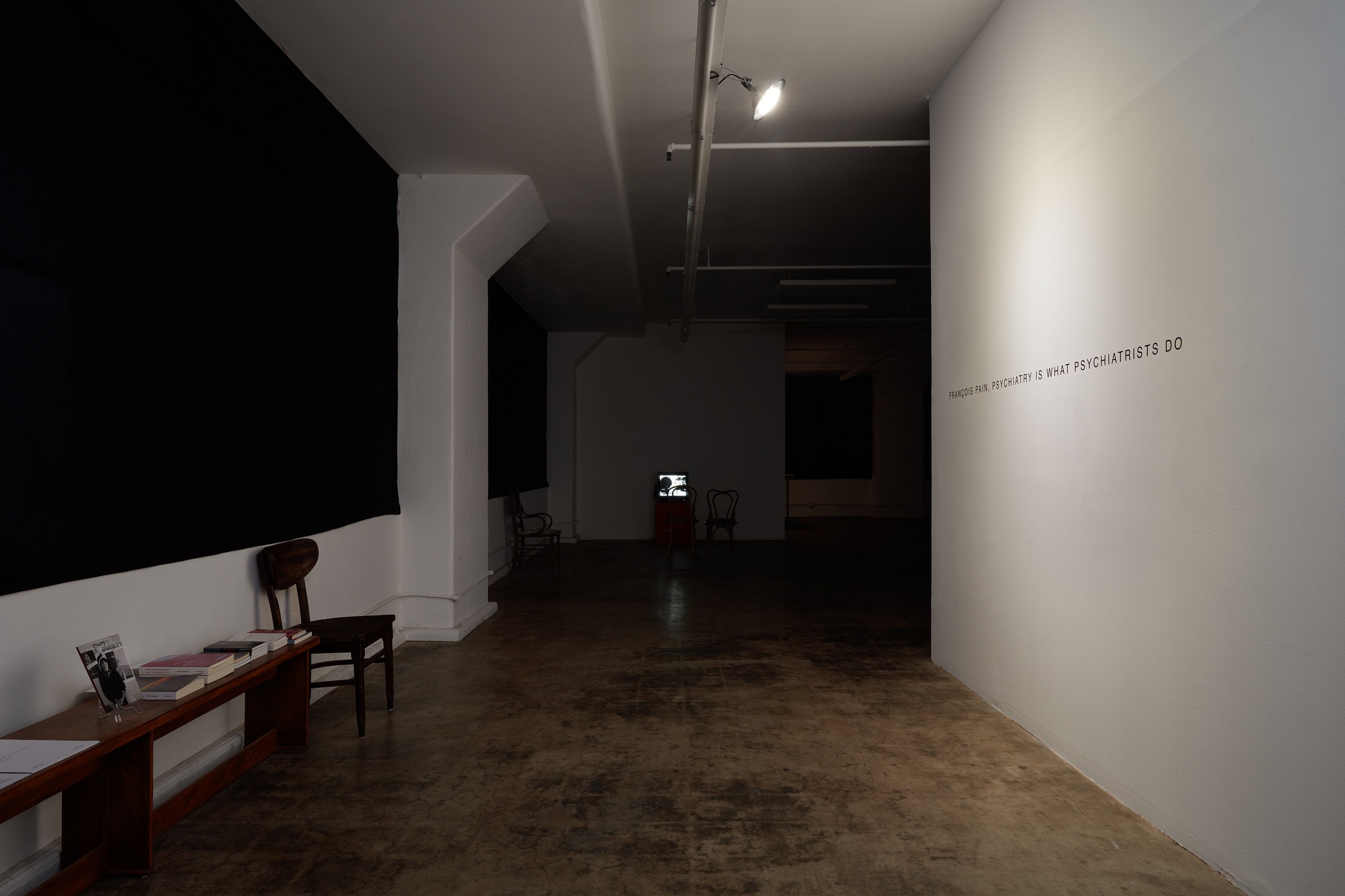 François Pain, Psychiatry is what Psychiatrists do at Joan, photo 4