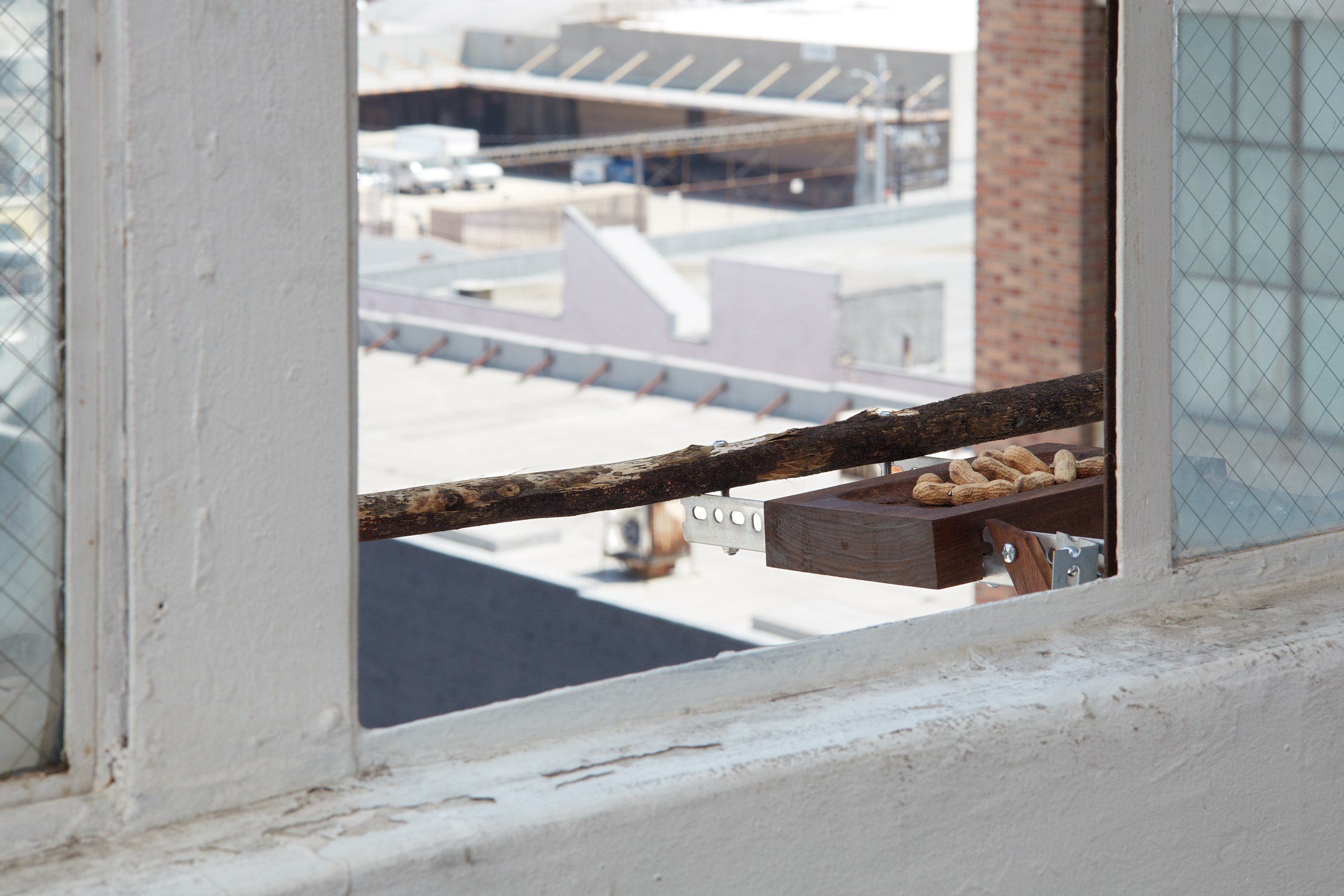 David Horvitz, being living at Joan, photo 6