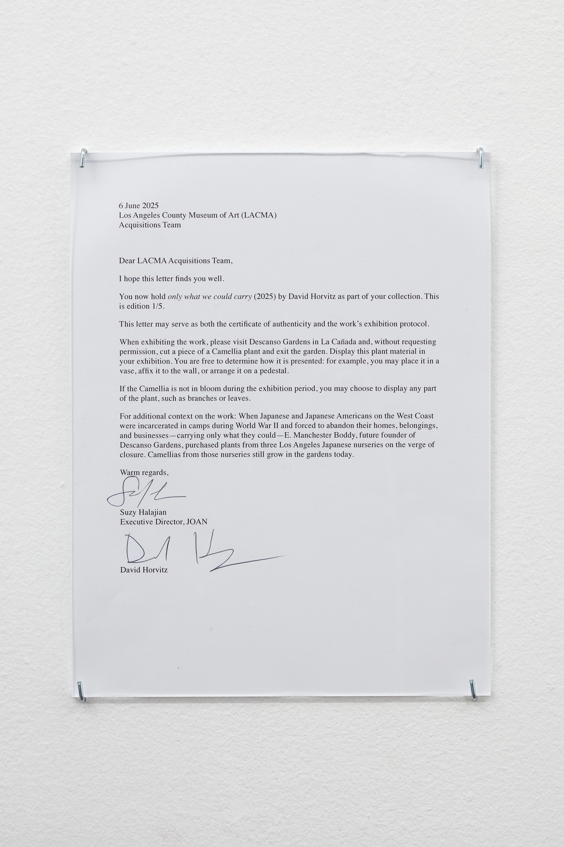 David Horvitz, being living at Joan, photo 13