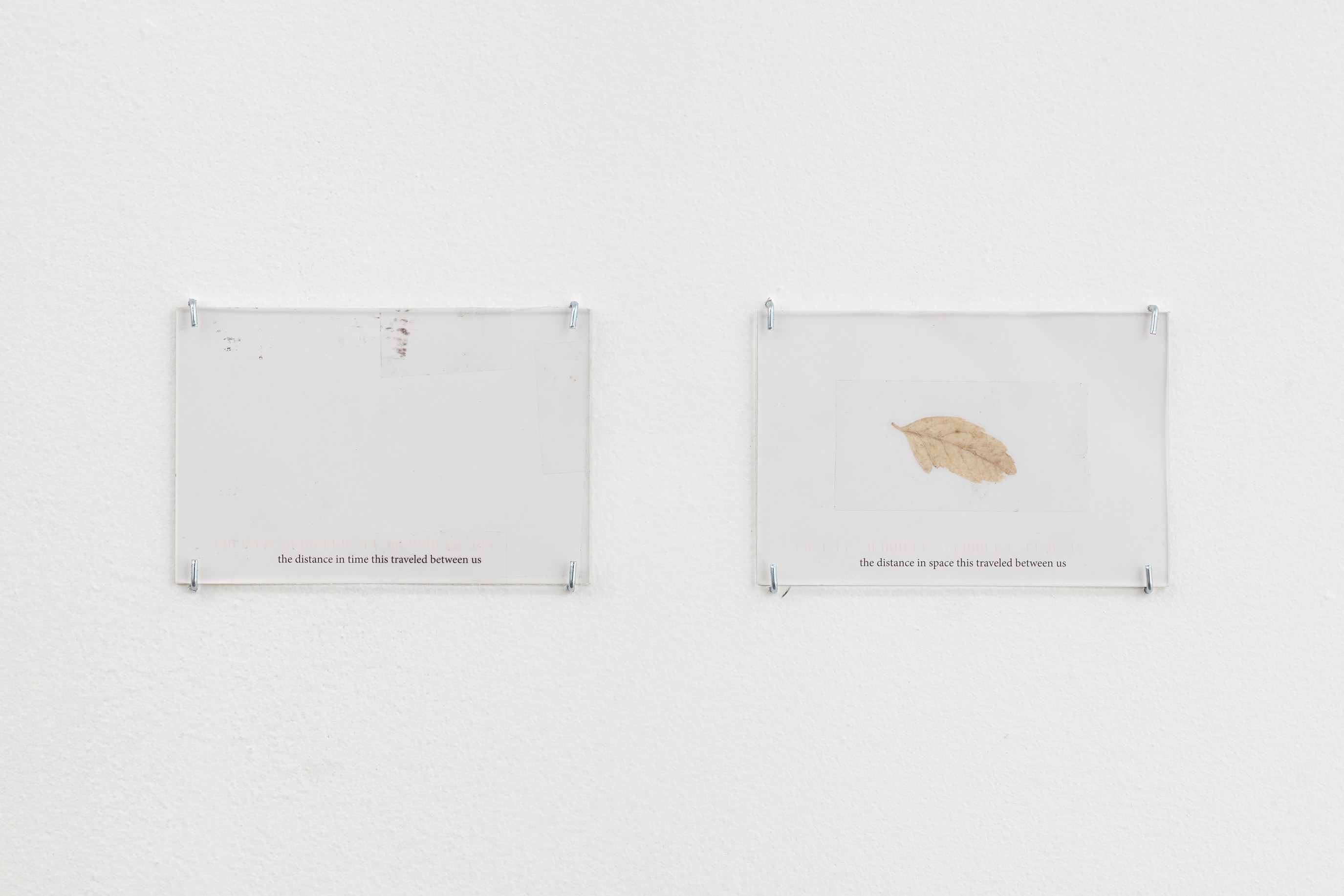 David Horvitz, being living at Joan, photo 14