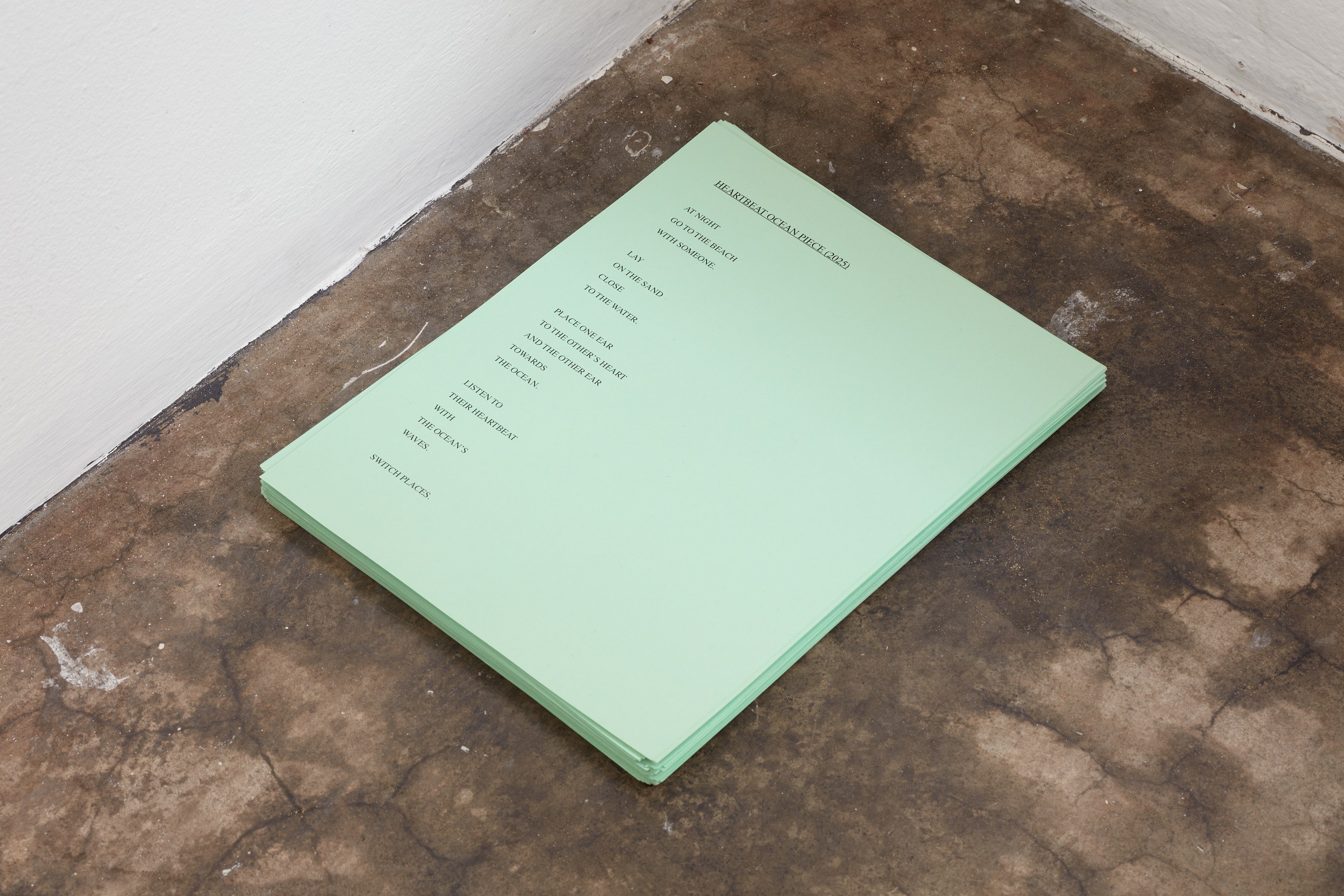 David Horvitz, being living at Joan, photo 15