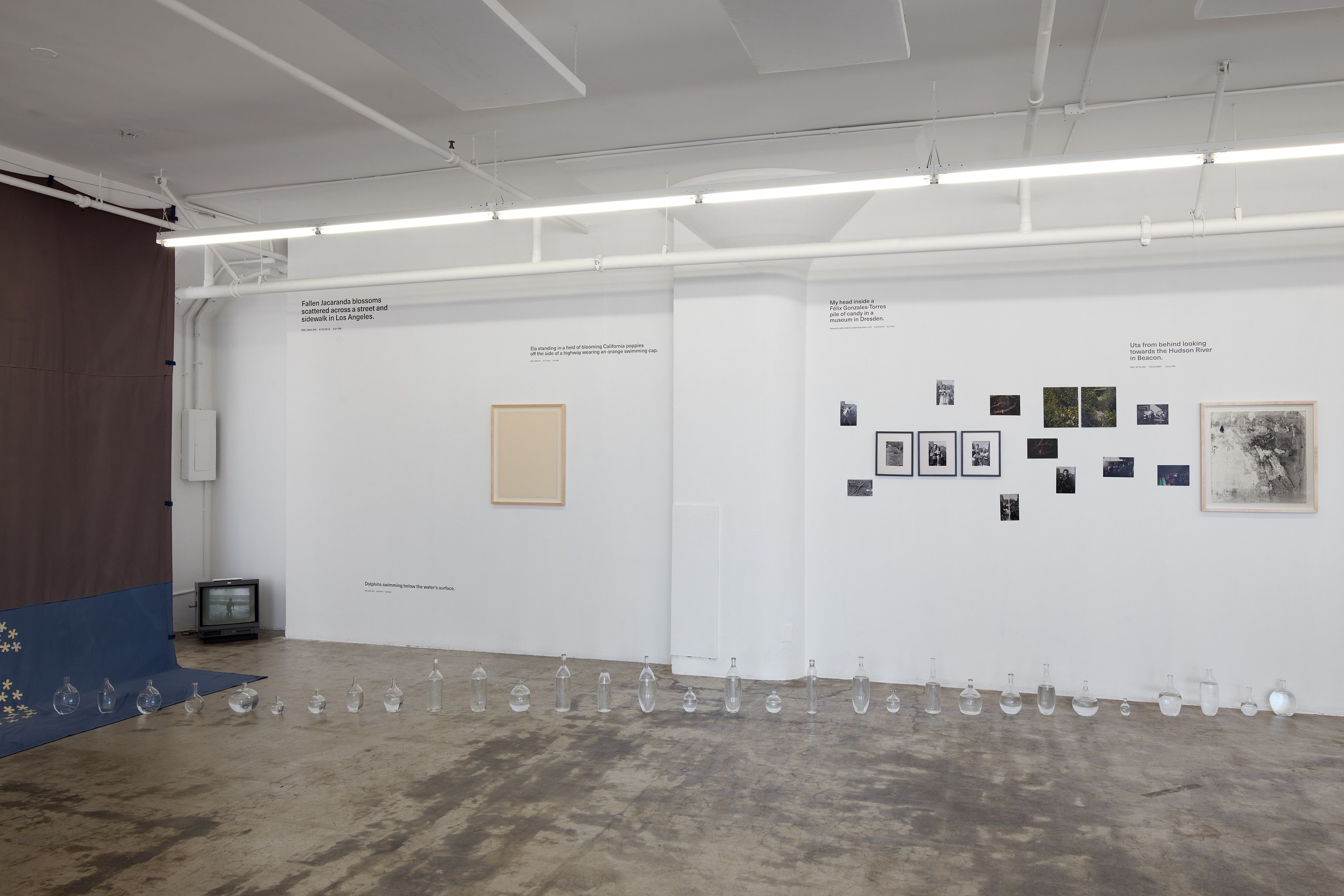David Horvitz, being living at Joan, photo 19