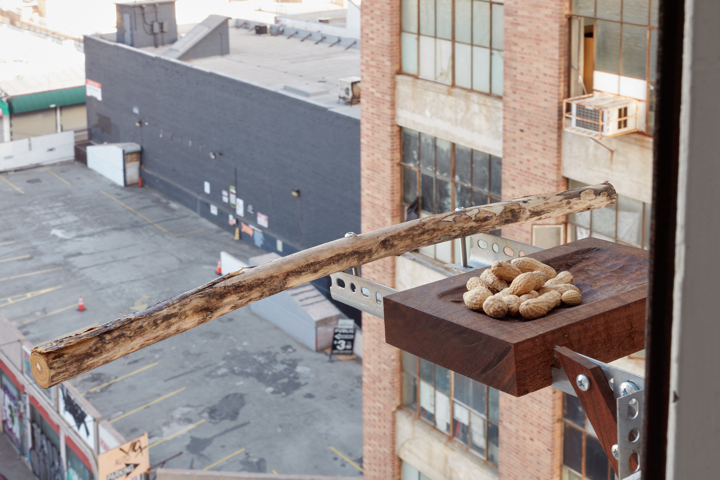 David Horvitz, being living at Joan, photo 50