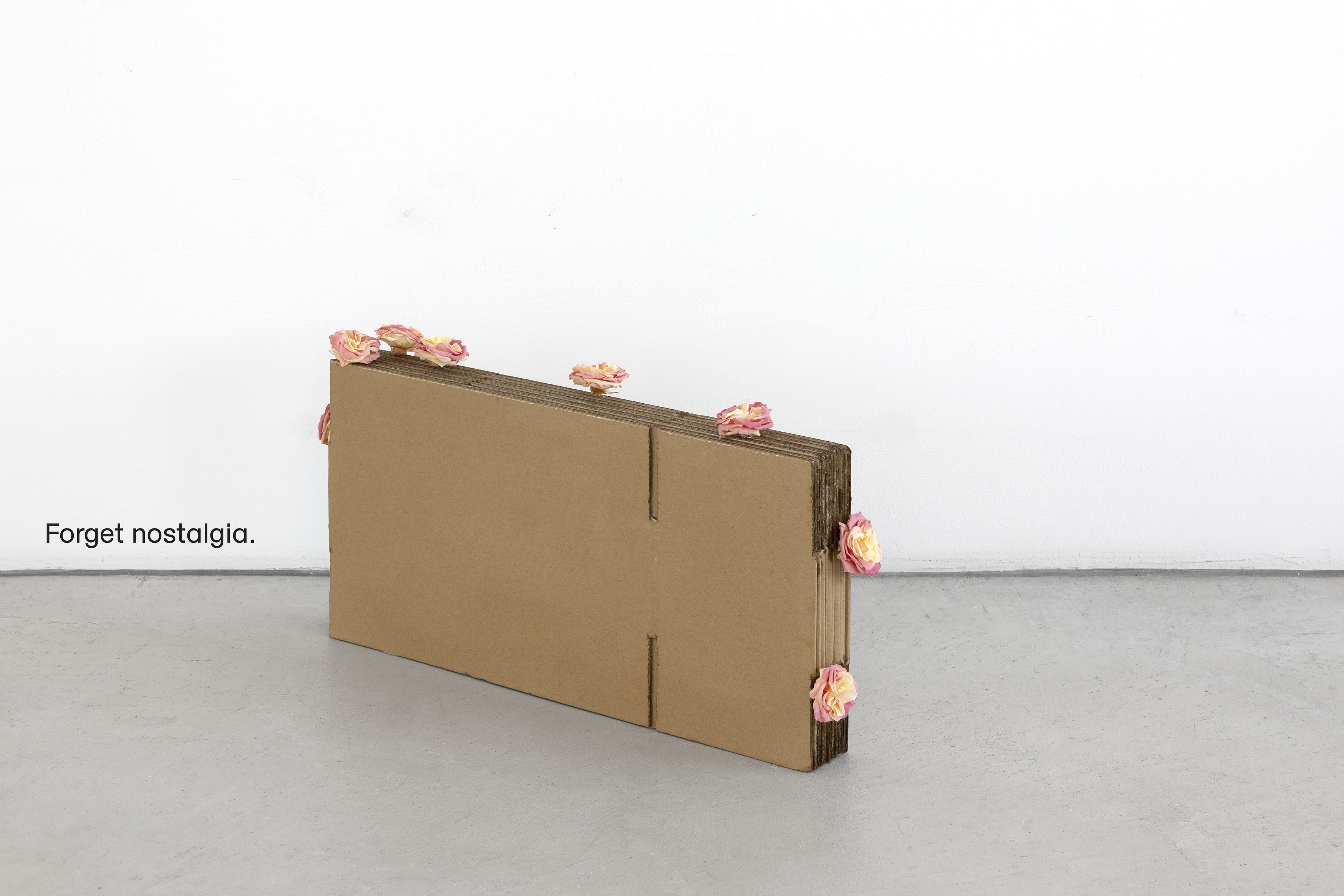 Not I, Not I at Capitain Petzel, photo 26
