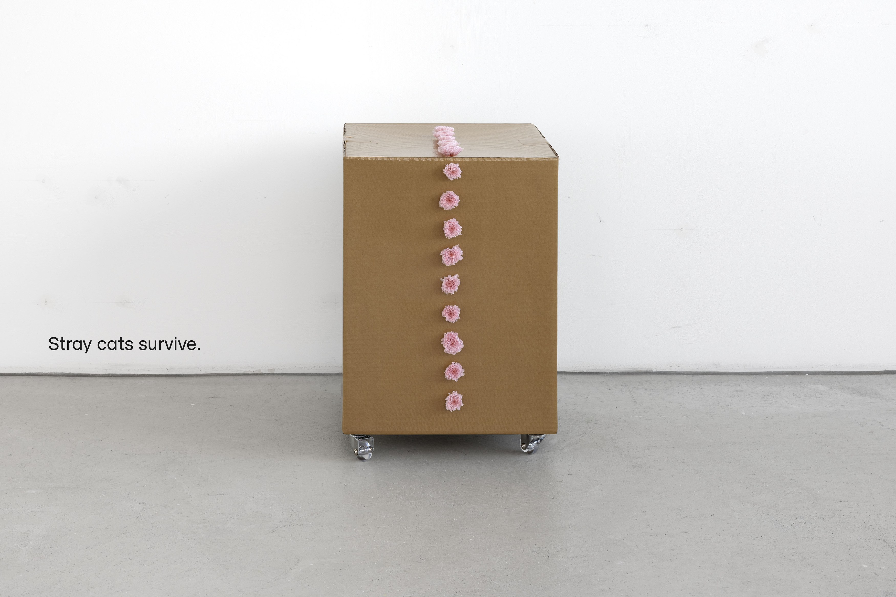 Not I, Not I at Capitain Petzel, photo 25