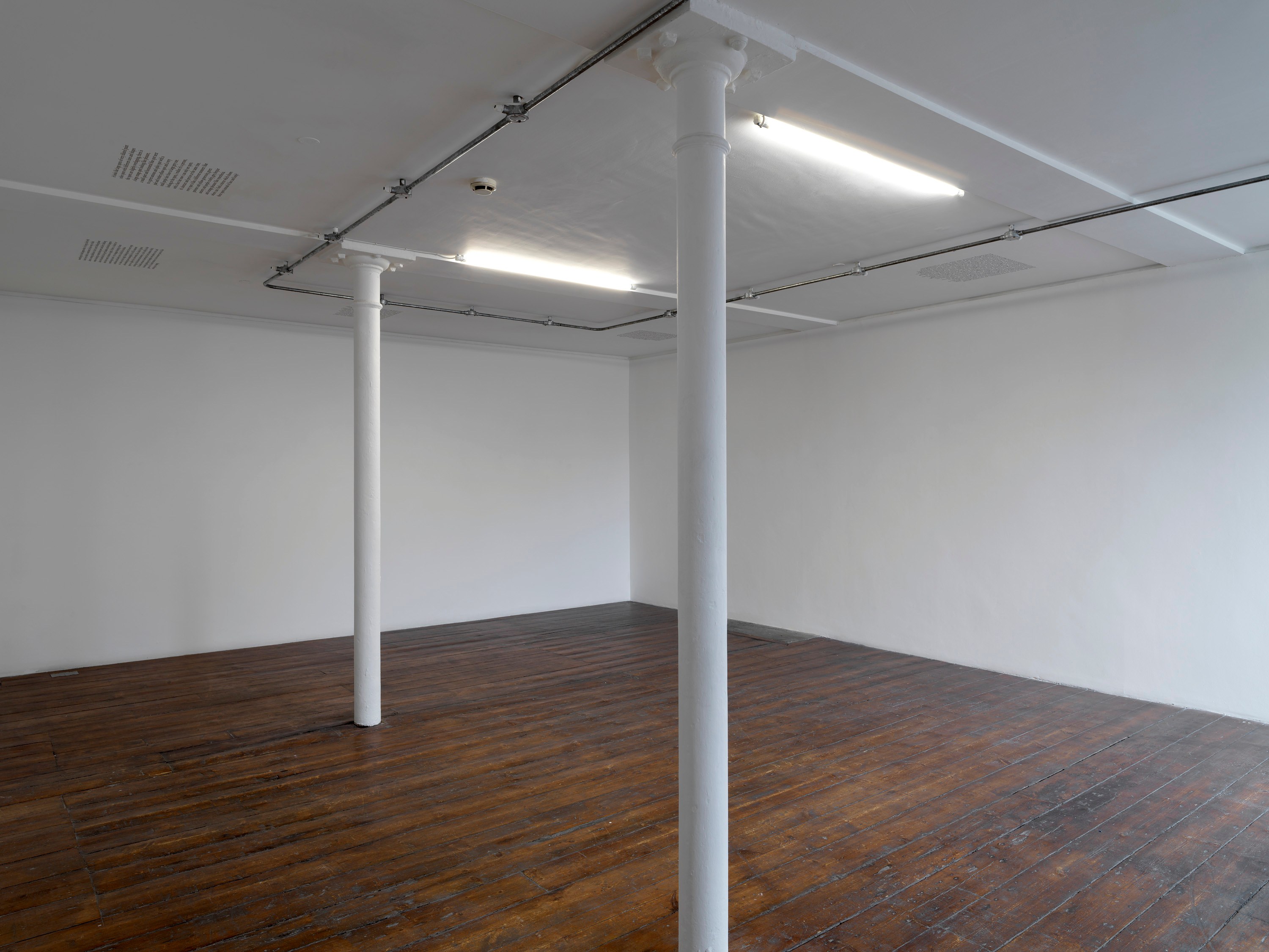 Dominique Gonzalez-Foerster, Intensité Assouvissante at Corvi-Mora, photo 2
