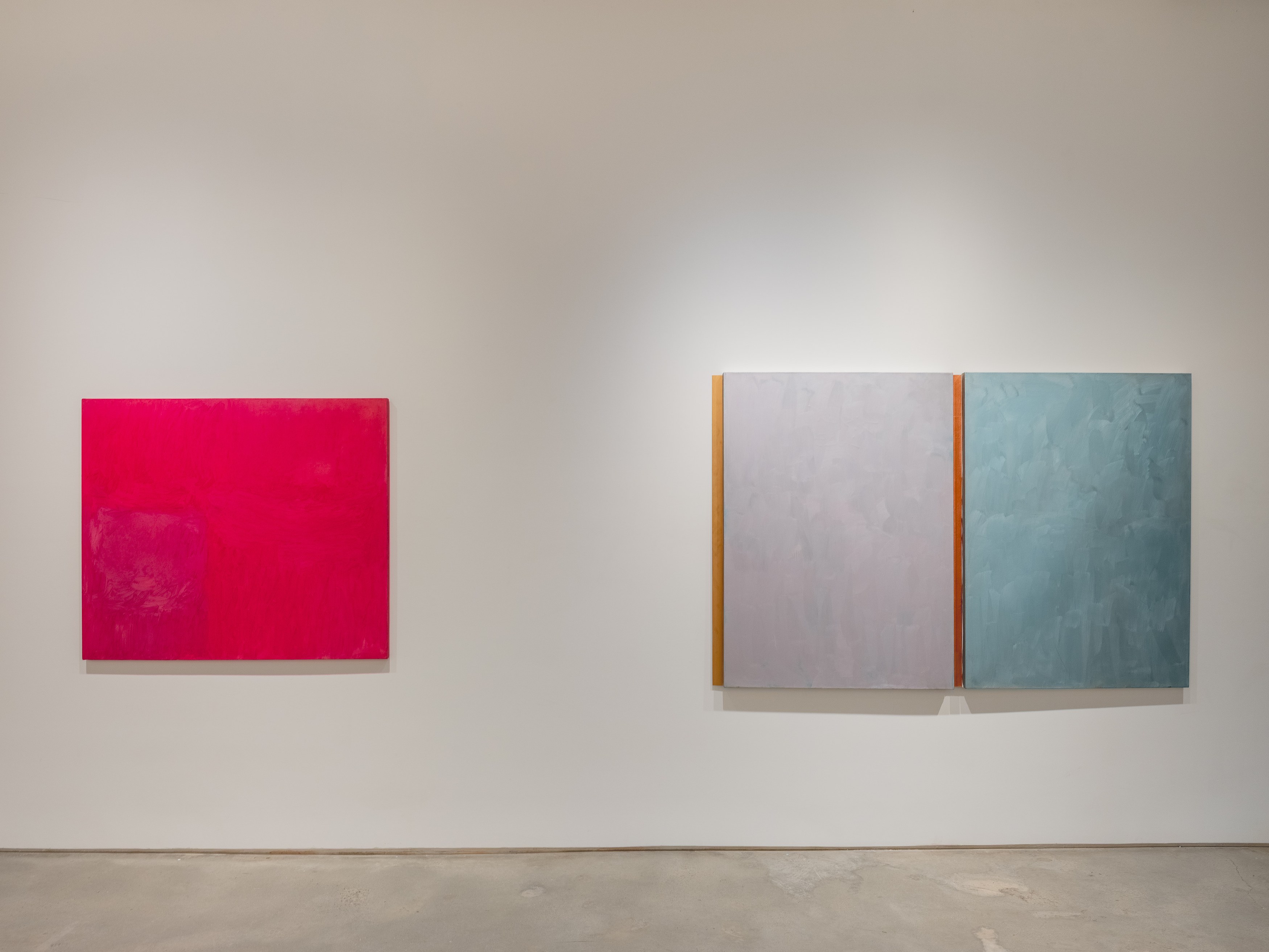 Karin Lambrecht, Sérgio Sister, Color Clímax at Nara Roesler, photo 10