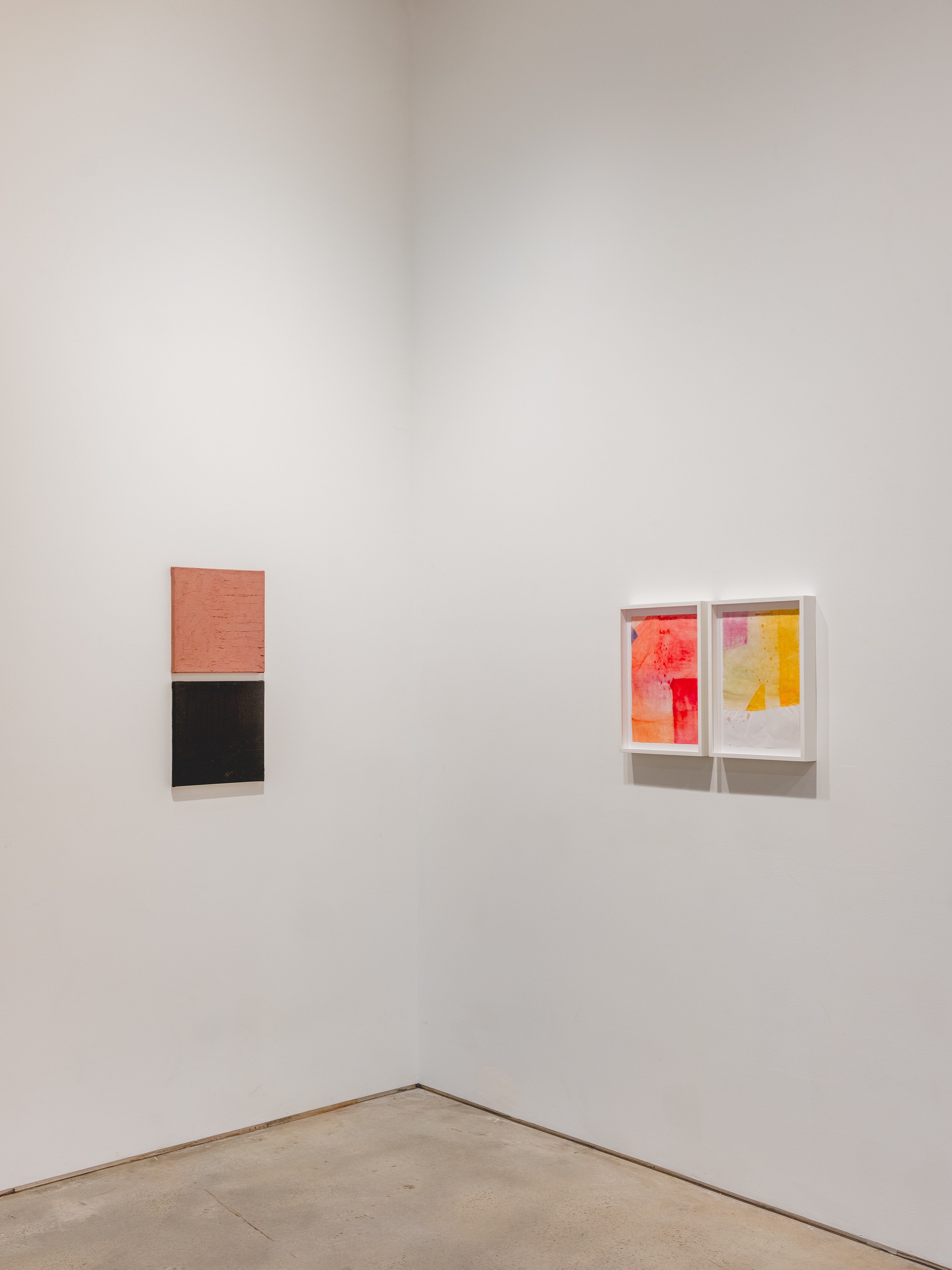 Karin Lambrecht, Sérgio Sister, Color Clímax at Nara Roesler, photo 15