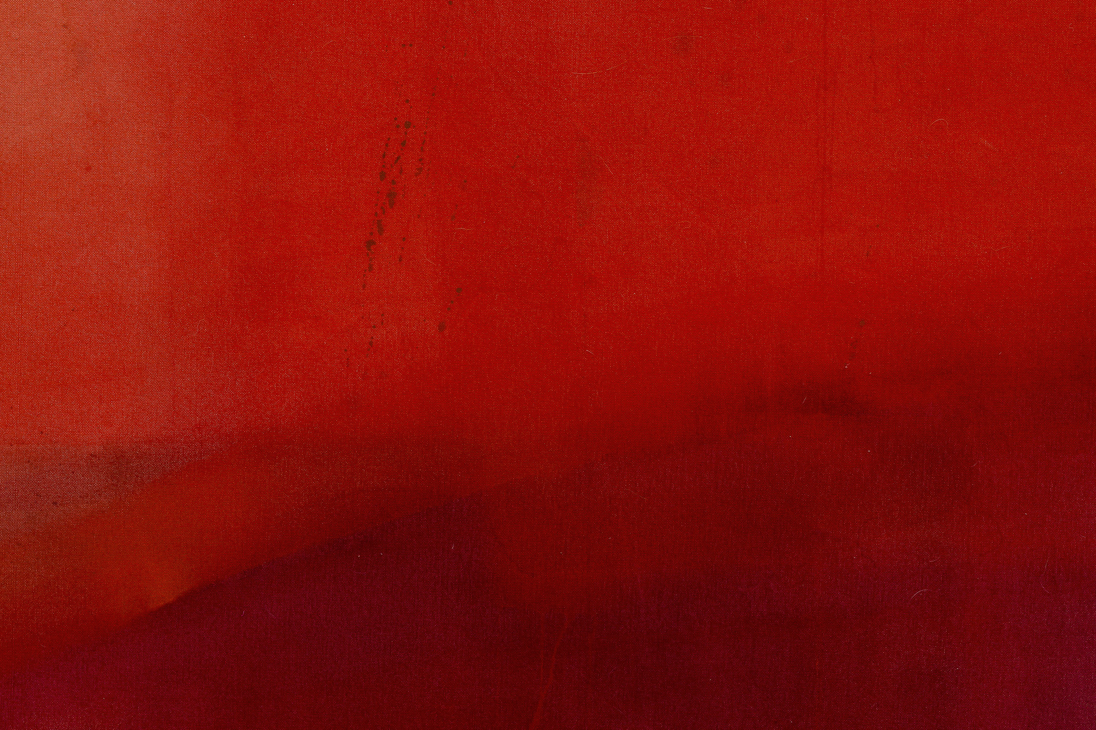Karin Lambrecht, Sérgio Sister, Color Clímax at Nara Roesler, photo 25