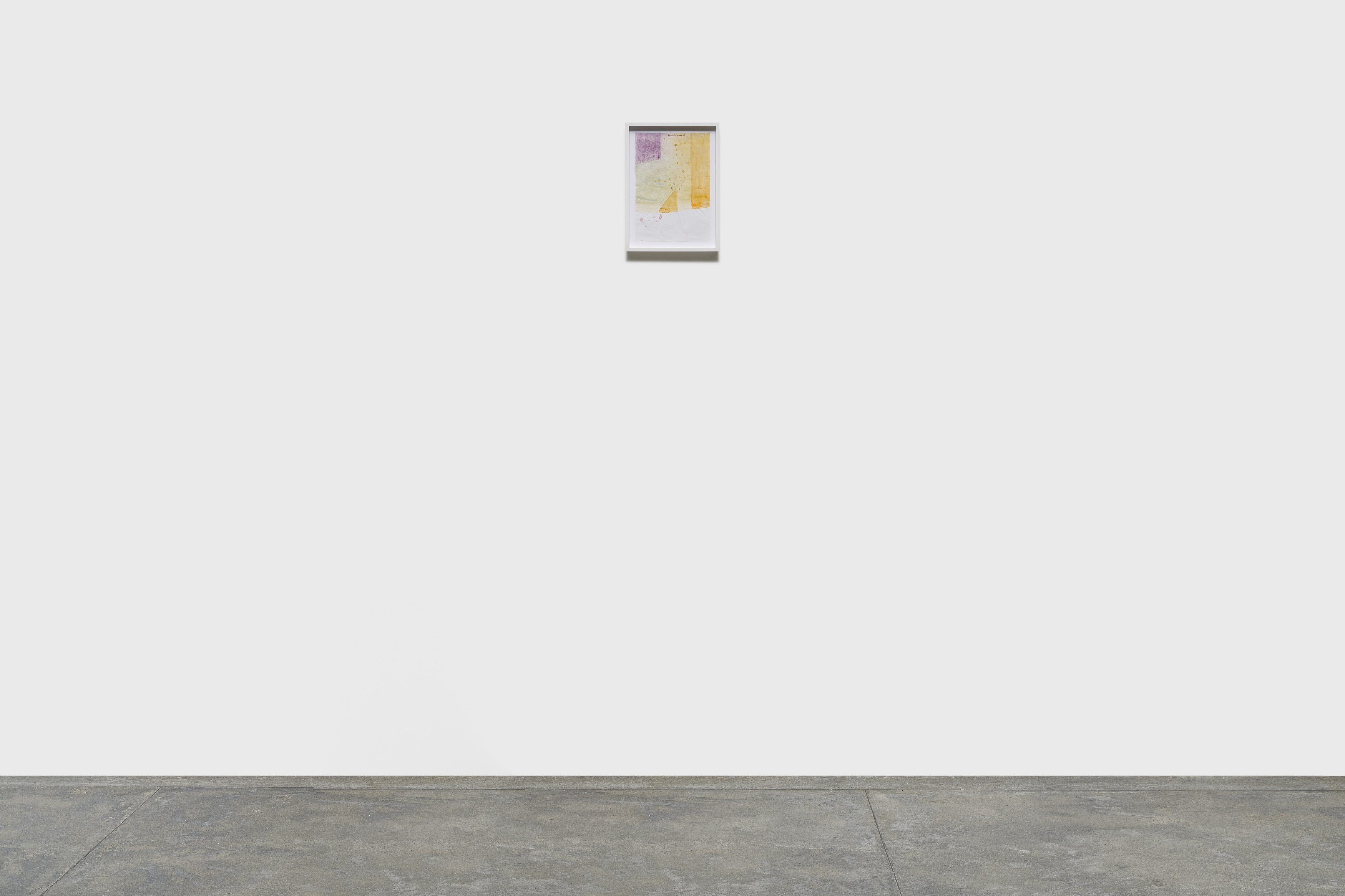Karin Lambrecht, Sérgio Sister, Color Clímax at Nara Roesler, photo 33